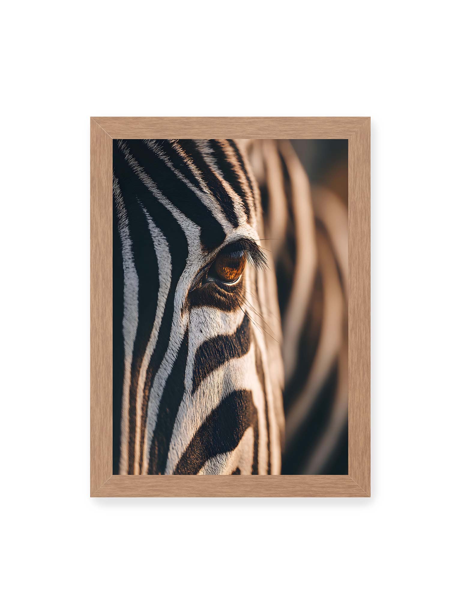 21x30 cm, Eichenrahmen – Nahaufnahme eines Zebraauges mit kontrastreichen schwarzen und weißen Streifen und feiner Fellstruktur.