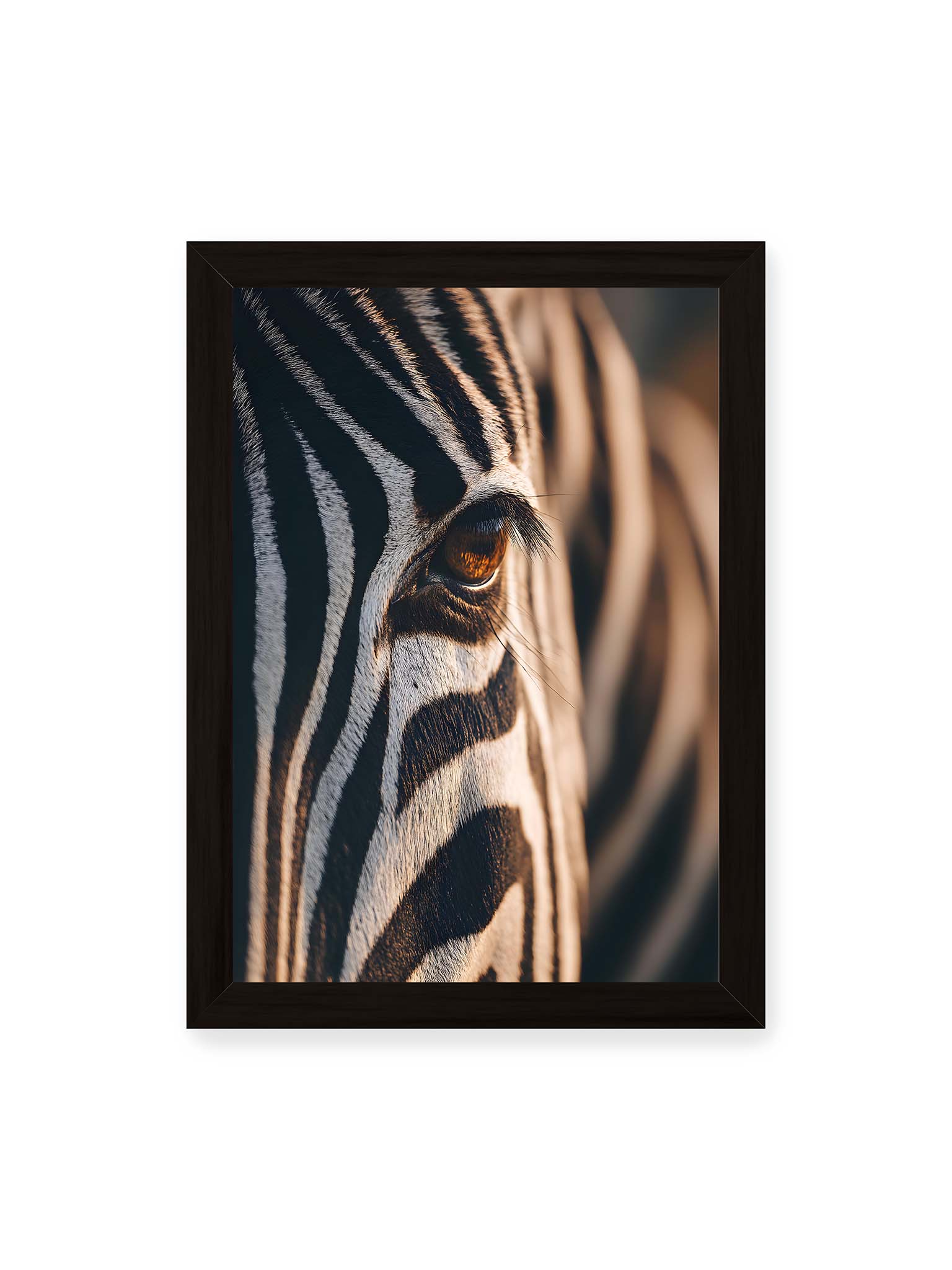 21x30 cm, schwarzer Rahmen – Nahaufnahme eines Zebraauges mit kontrastreichen schwarzen und weißen Streifen und feiner Fellstruktur.