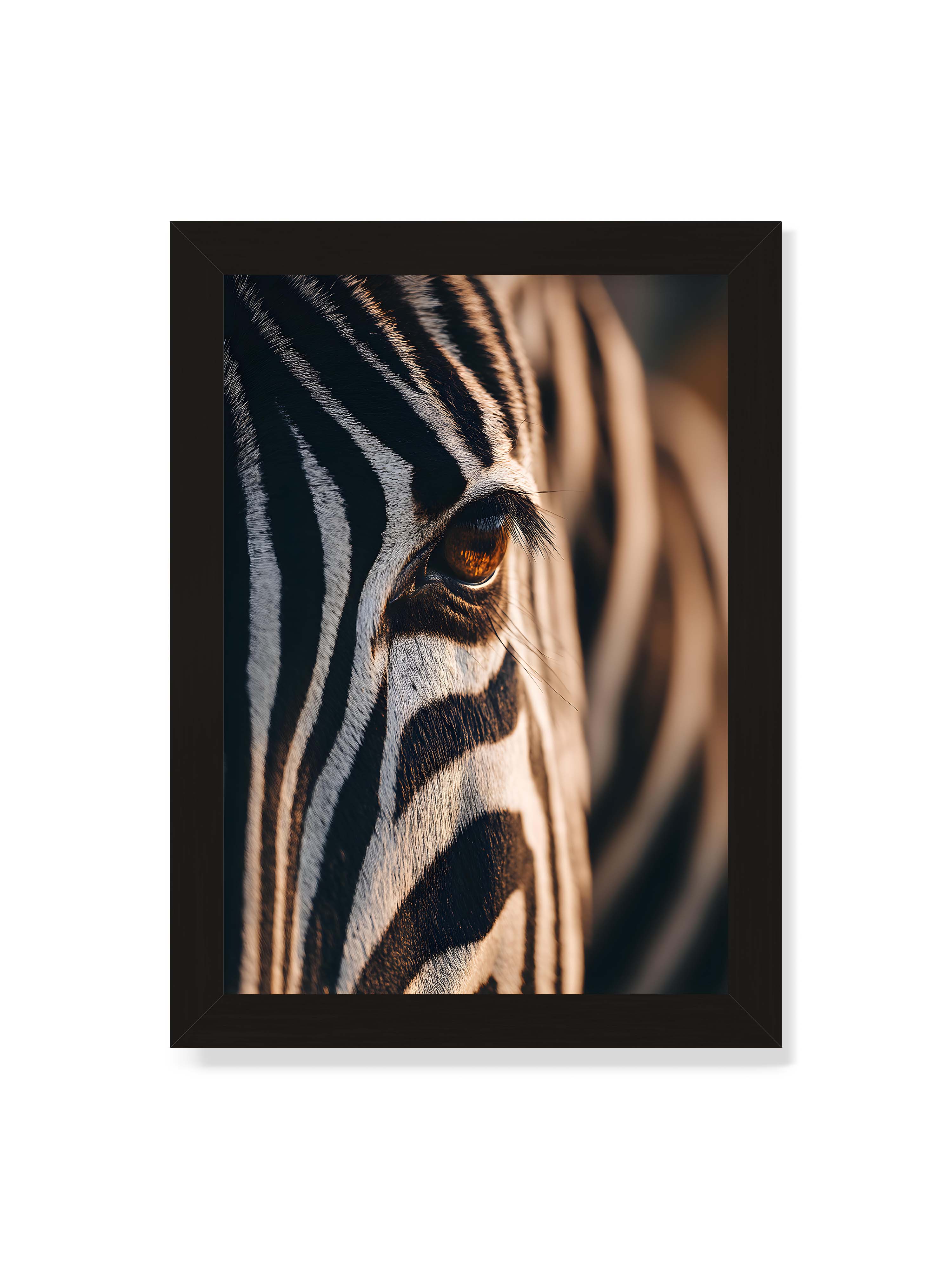 21x30 cm ohne Galerie-Rand mit schwarzem Rahmen – Nahaufnahme eines Zebraauges mit kontrastreichen schwarzen und weißen Streifen und feiner Fellstruktur.