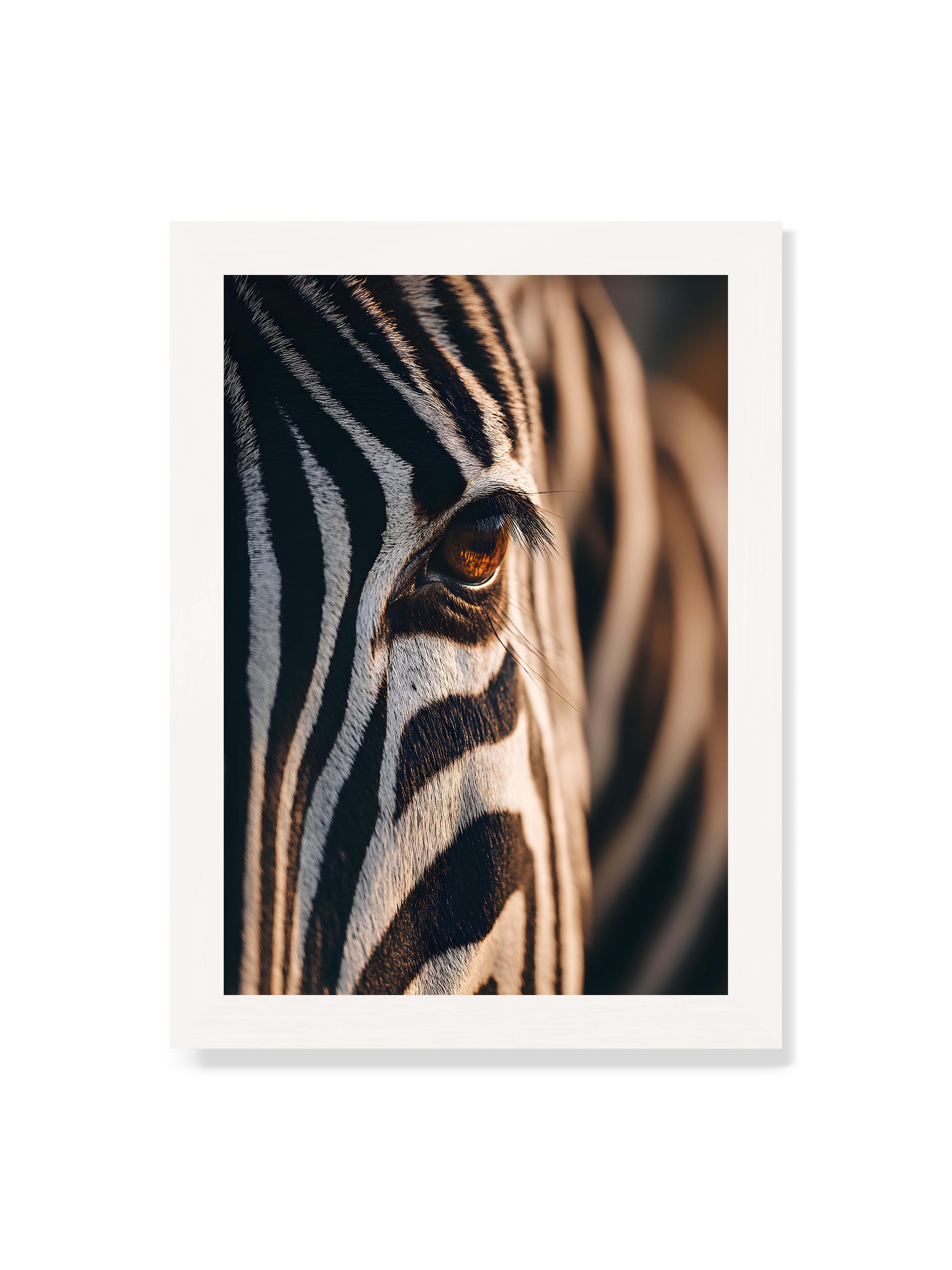 21x30 cm ohne Galerie-Rand mit weißem Rahmen – Nahaufnahme eines Zebraauges mit kontrastreichen schwarzen und weißen Streifen und feiner Fellstruktur.