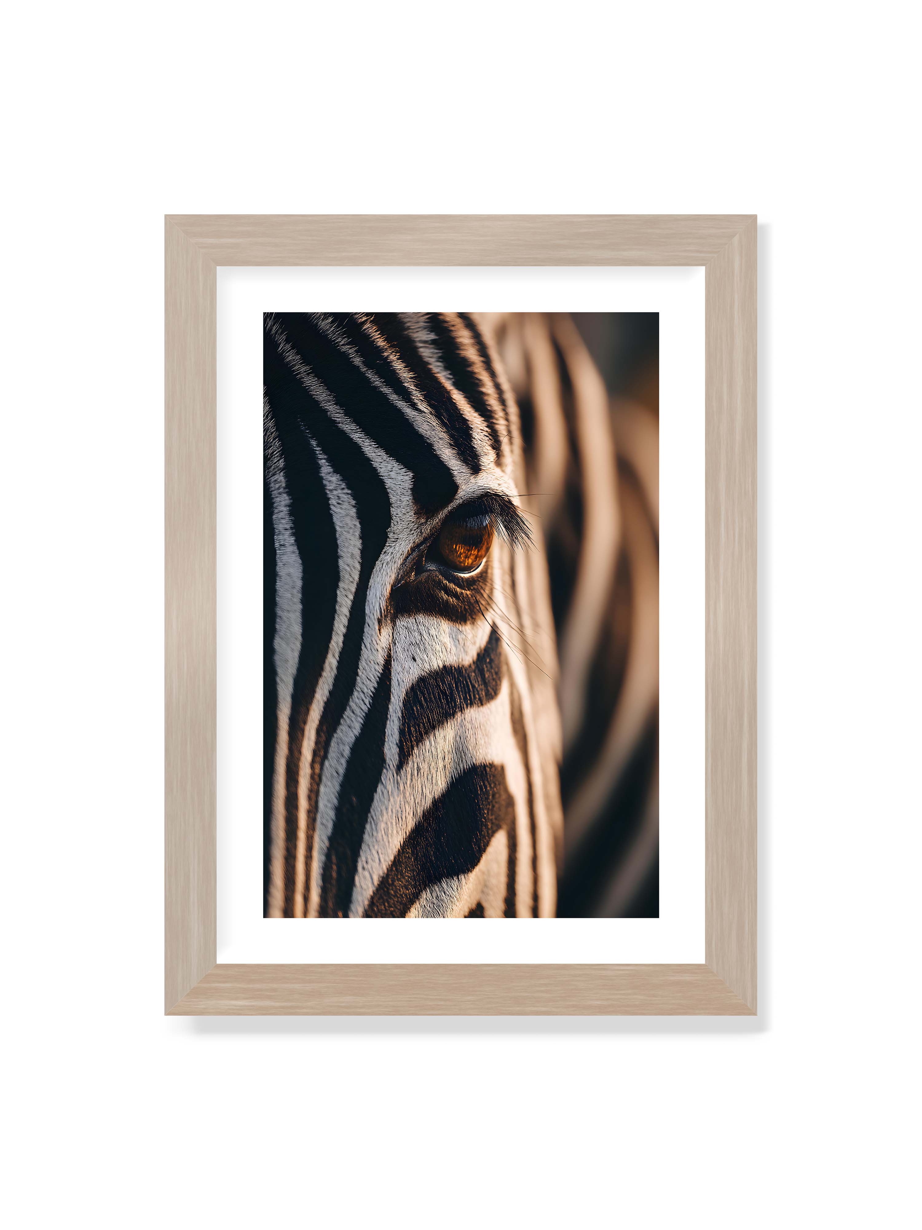 21x30 cm mit weißem Galerie-Rand im Eichenrahmen – Nahaufnahme eines Zebraauges mit kontrastreichen schwarzen und weißen Streifen und feiner Fellstruktur.
