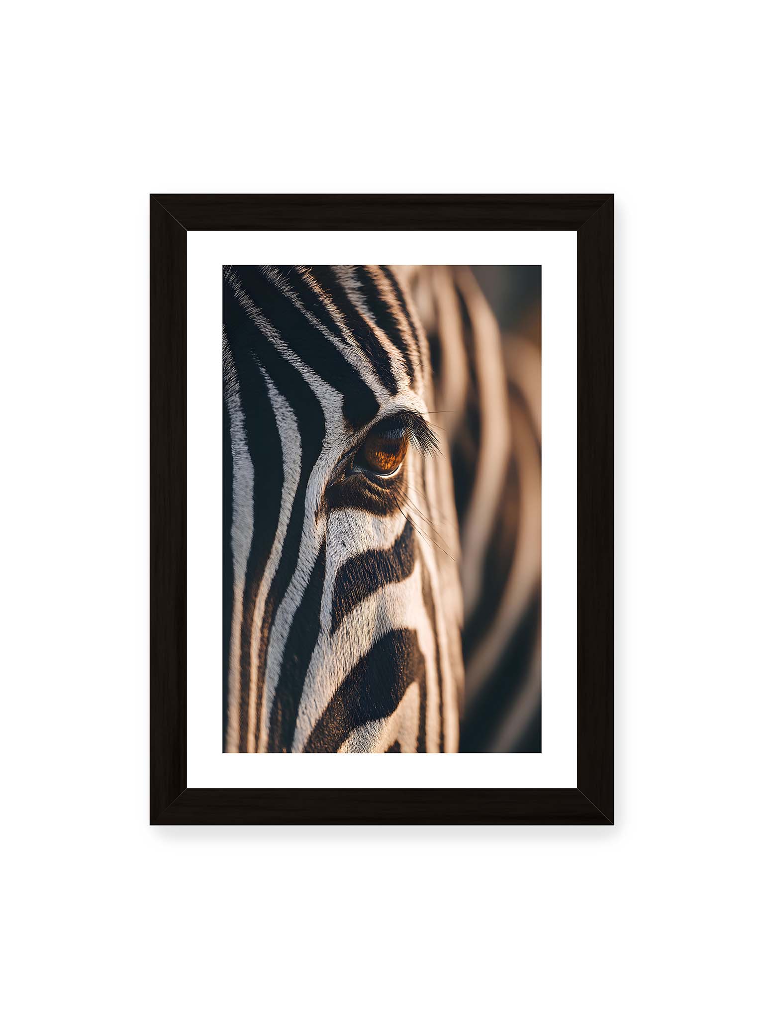 21x30 cm, weißer Galerie-Rand, schwarzer Rahmen – Nahaufnahme eines Zebraauges mit kontrastreichen schwarzen und weißen Streifen und feiner Fellstruktur.