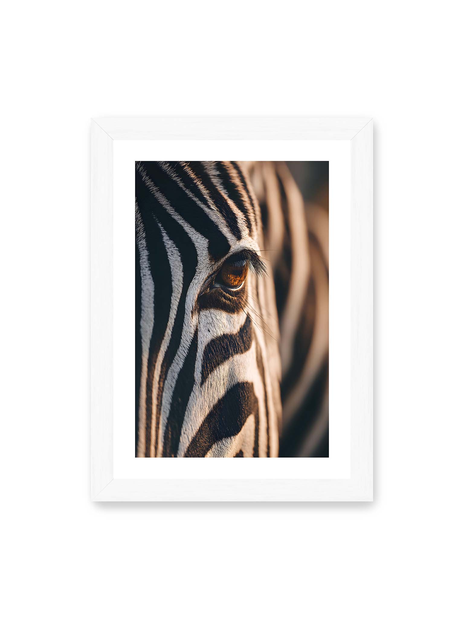 21x30 cm, weißer Galerie-Rand, weißer Rahmen – Nahaufnahme eines Zebraauges mit kontrastreichen schwarzen und weißen Streifen und feiner Fellstruktur.