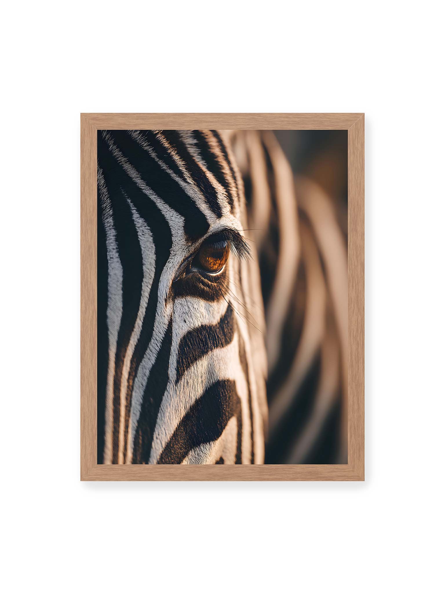 30x40 cm, Eichenrahmen – Nahaufnahme eines Zebraauges mit kontrastreichen schwarzen und weißen Streifen und feiner Fellstruktur.