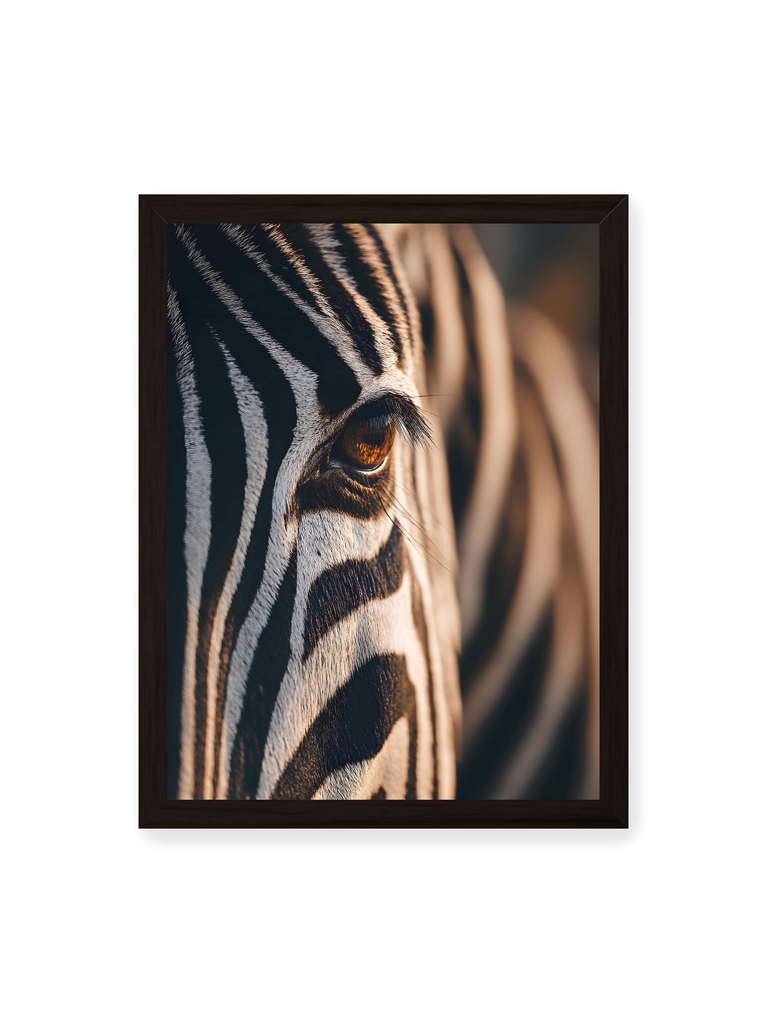 30x40 cm, schwarzer Rahmen – Nahaufnahme eines Zebraauges mit kontrastreichen schwarzen und weißen Streifen und feiner Fellstruktur.
