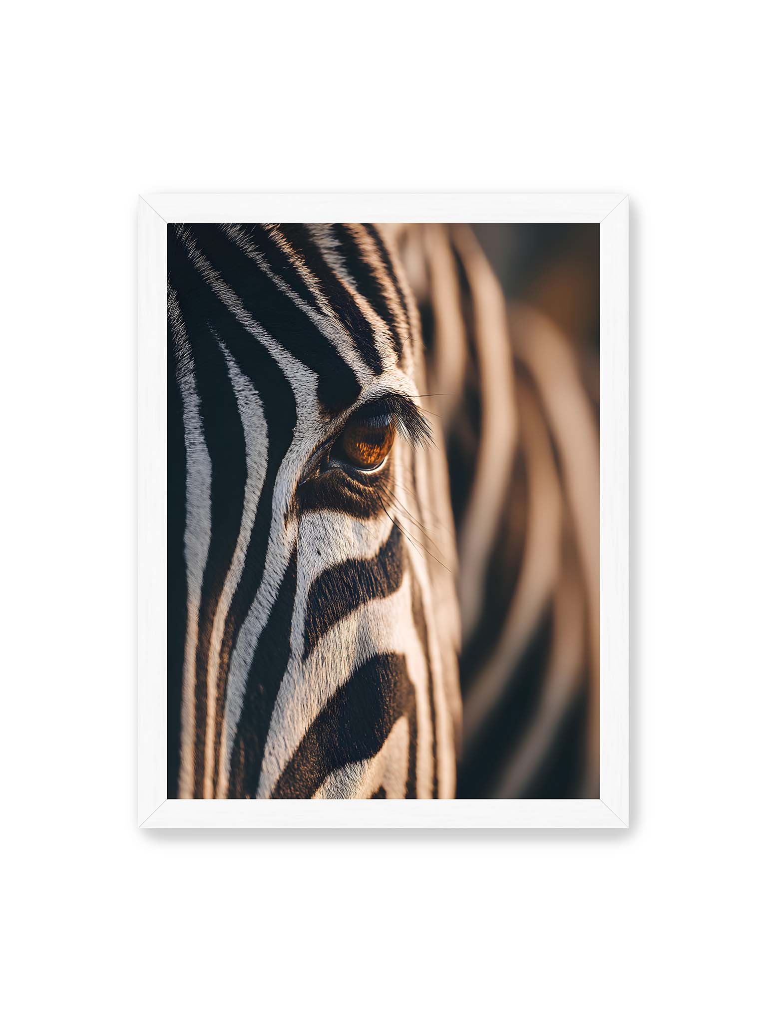30x40 cm, weißer Rahmen – Nahaufnahme eines Zebraauges mit kontrastreichen schwarzen und weißen Streifen und feiner Fellstruktur.