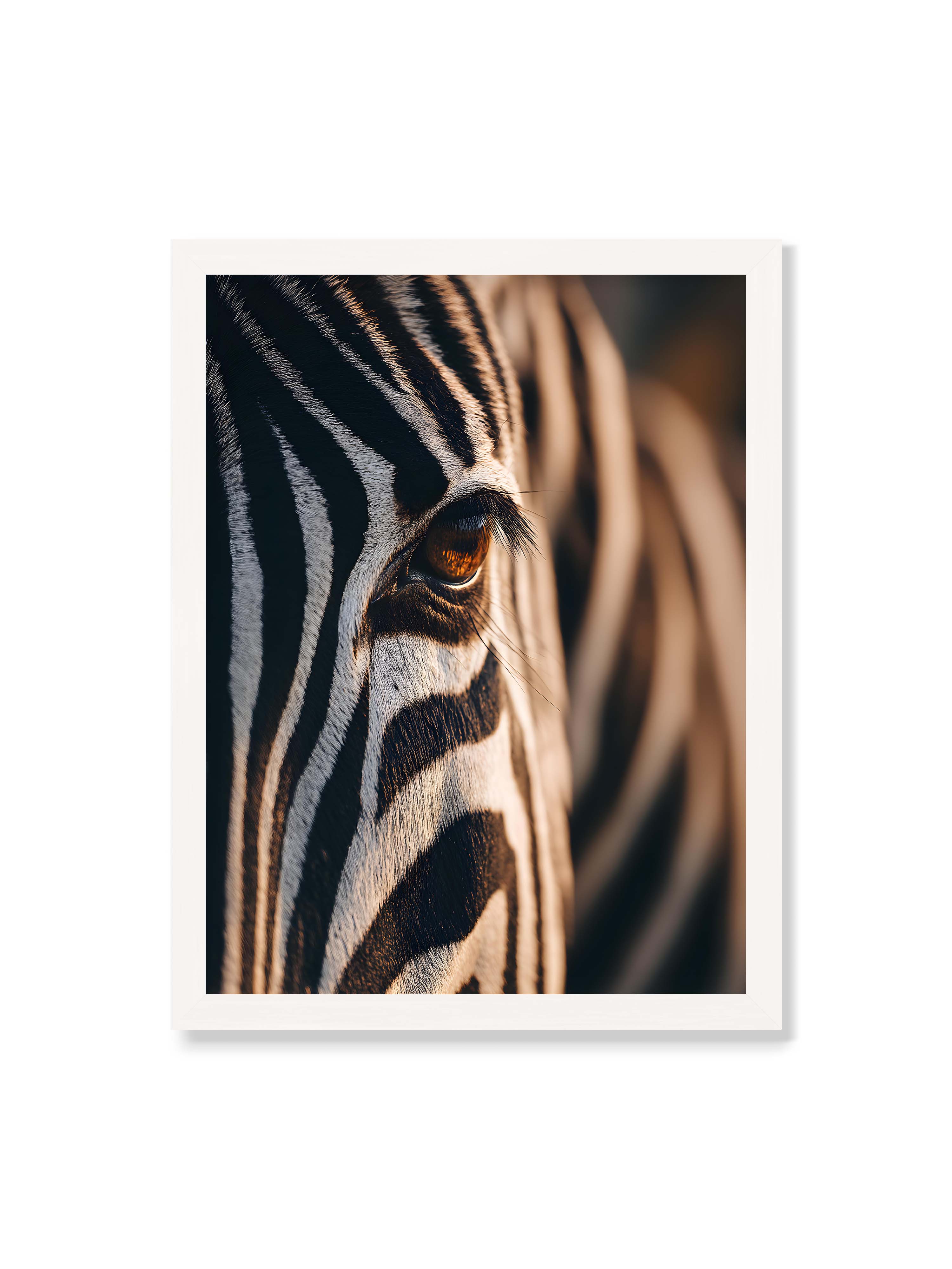 30x40 cm ohne Galerie-Rand mit weißem Rahmen – Nahaufnahme eines Zebraauges mit kontrastreichen schwarzen und weißen Streifen und feiner Fellstruktur.
