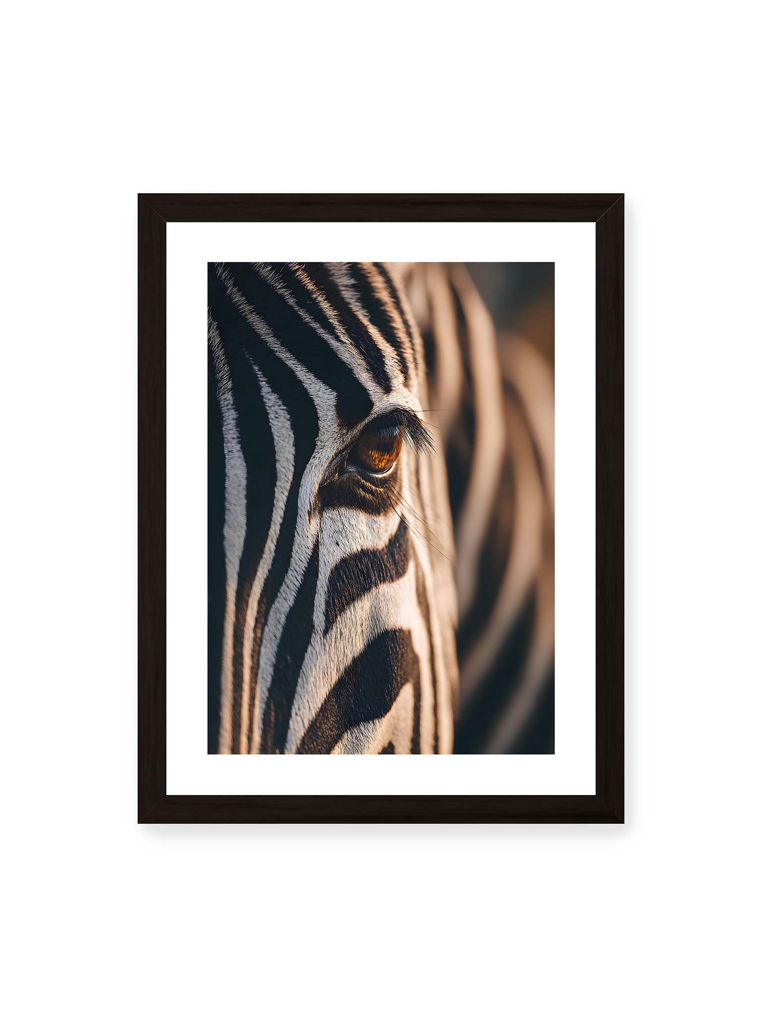 30x40 cm, weißer Galerie-Rand, schwarzer Rahmen – Nahaufnahme eines Zebraauges mit kontrastreichen schwarzen und weißen Streifen und feiner Fellstruktur.