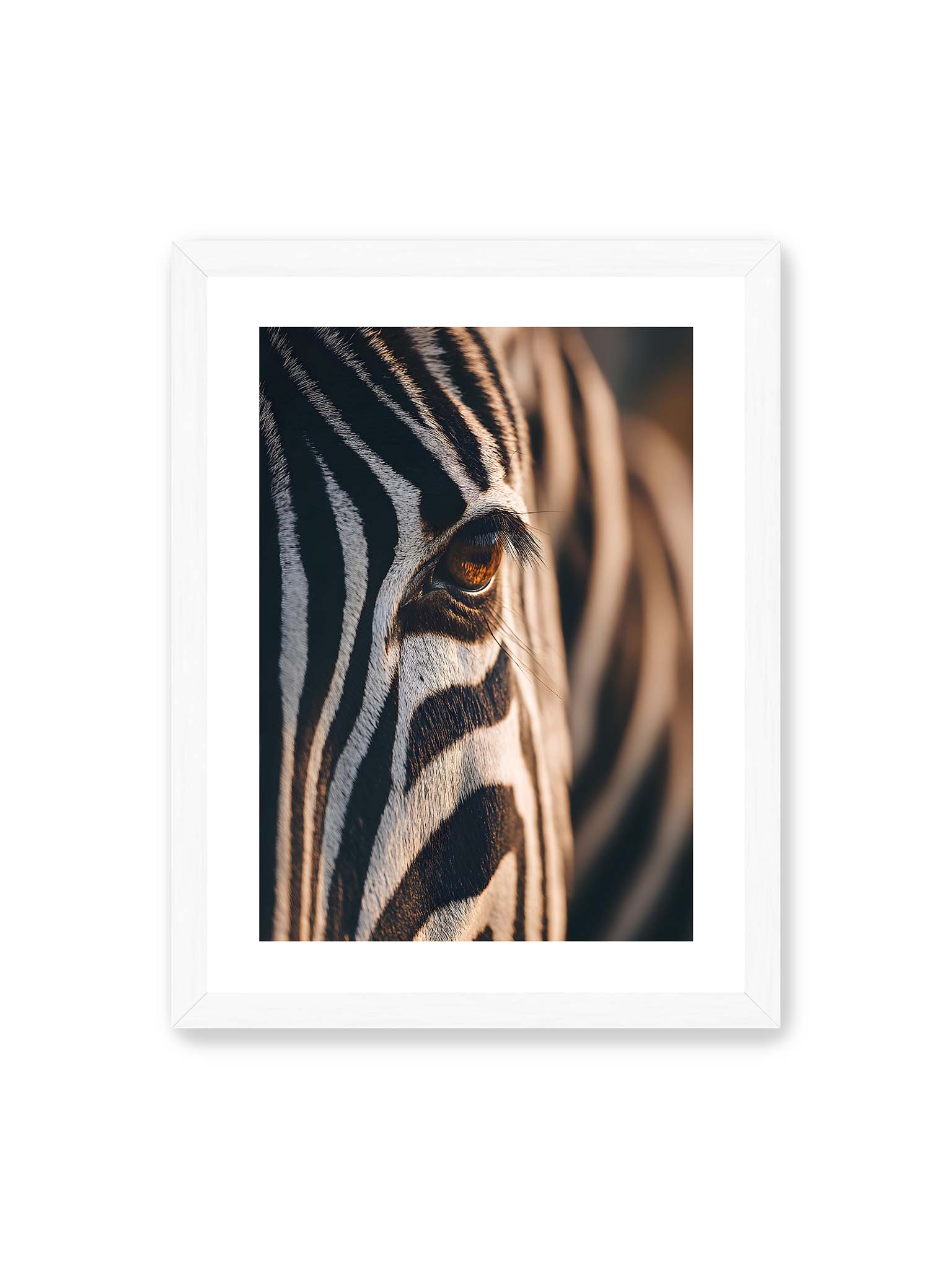 30x40 cm, weißer Galerie-Rand, weißer Rahmen – Nahaufnahme eines Zebraauges mit kontrastreichen schwarzen und weißen Streifen und feiner Fellstruktur.
