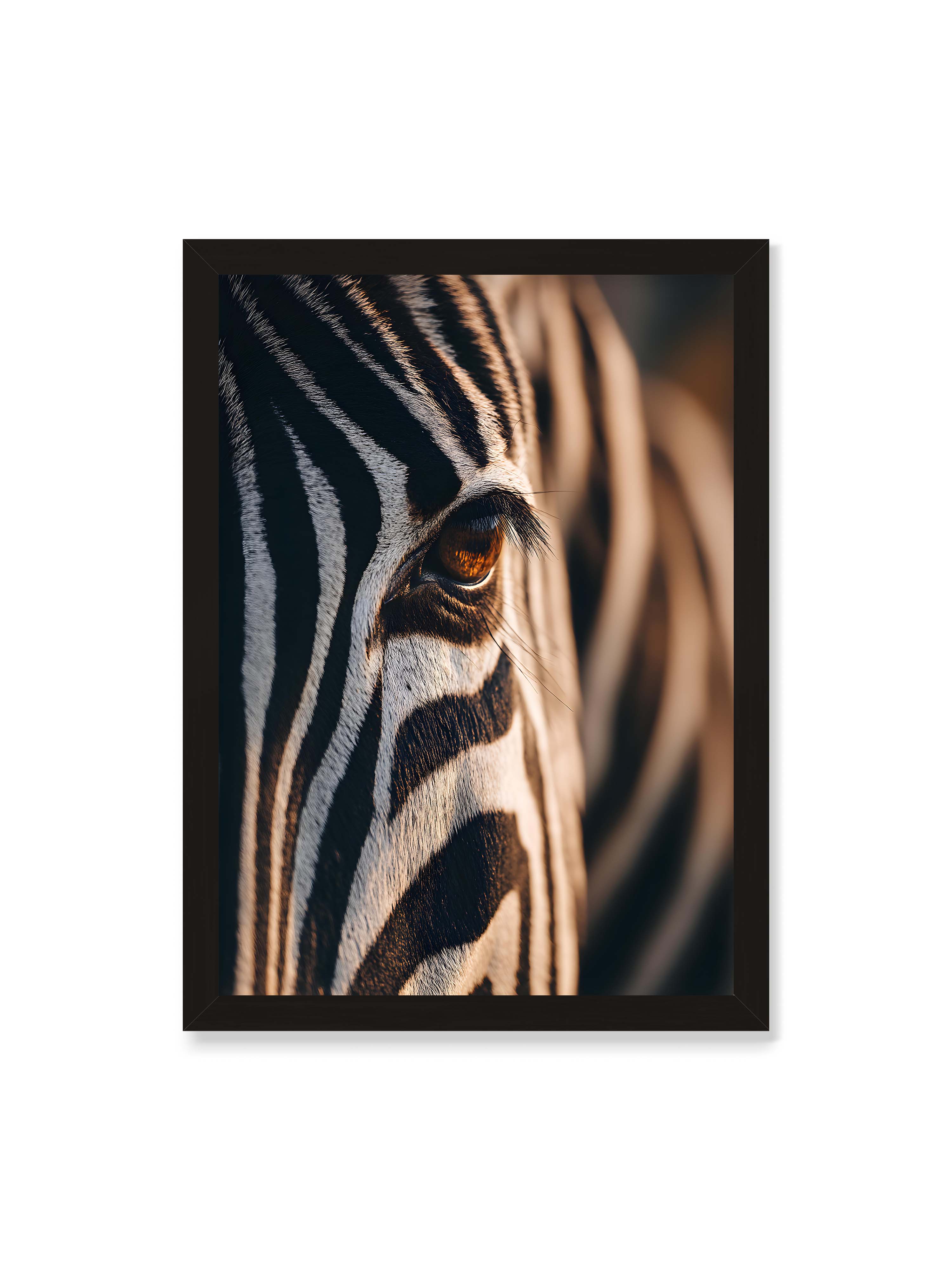 50x70 cm ohne Galerie-Rand mit schwarzem Rahmen – Nahaufnahme eines Zebraauges mit kontrastreichen schwarzen und weißen Streifen und feiner Fellstruktur.