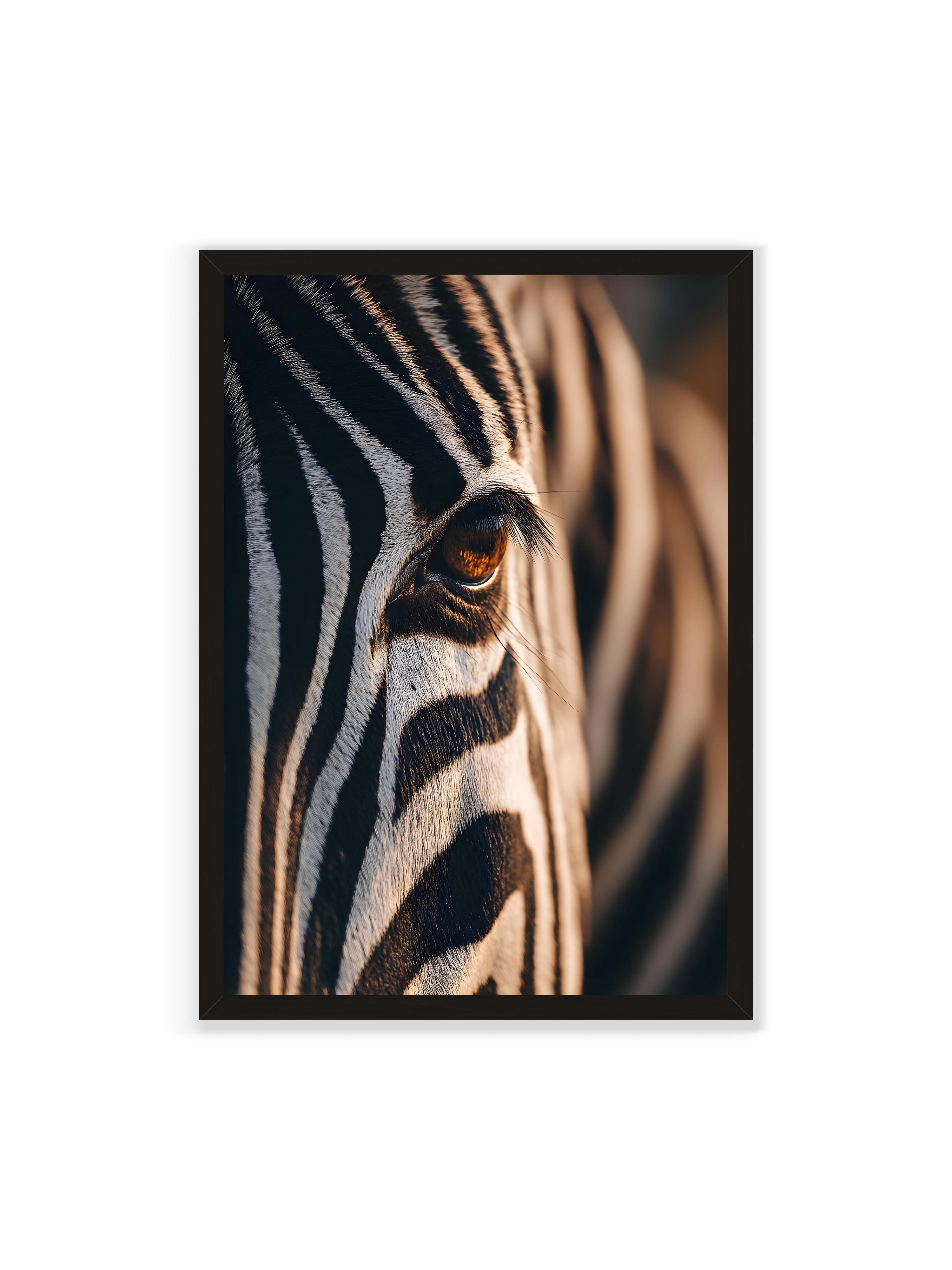 70x100 cm ohne Galerie-Rand mit schwarzem Rahmen – Nahaufnahme eines Zebraauges mit kontrastreichen schwarzen und weißen Streifen und feiner Fellstruktur.