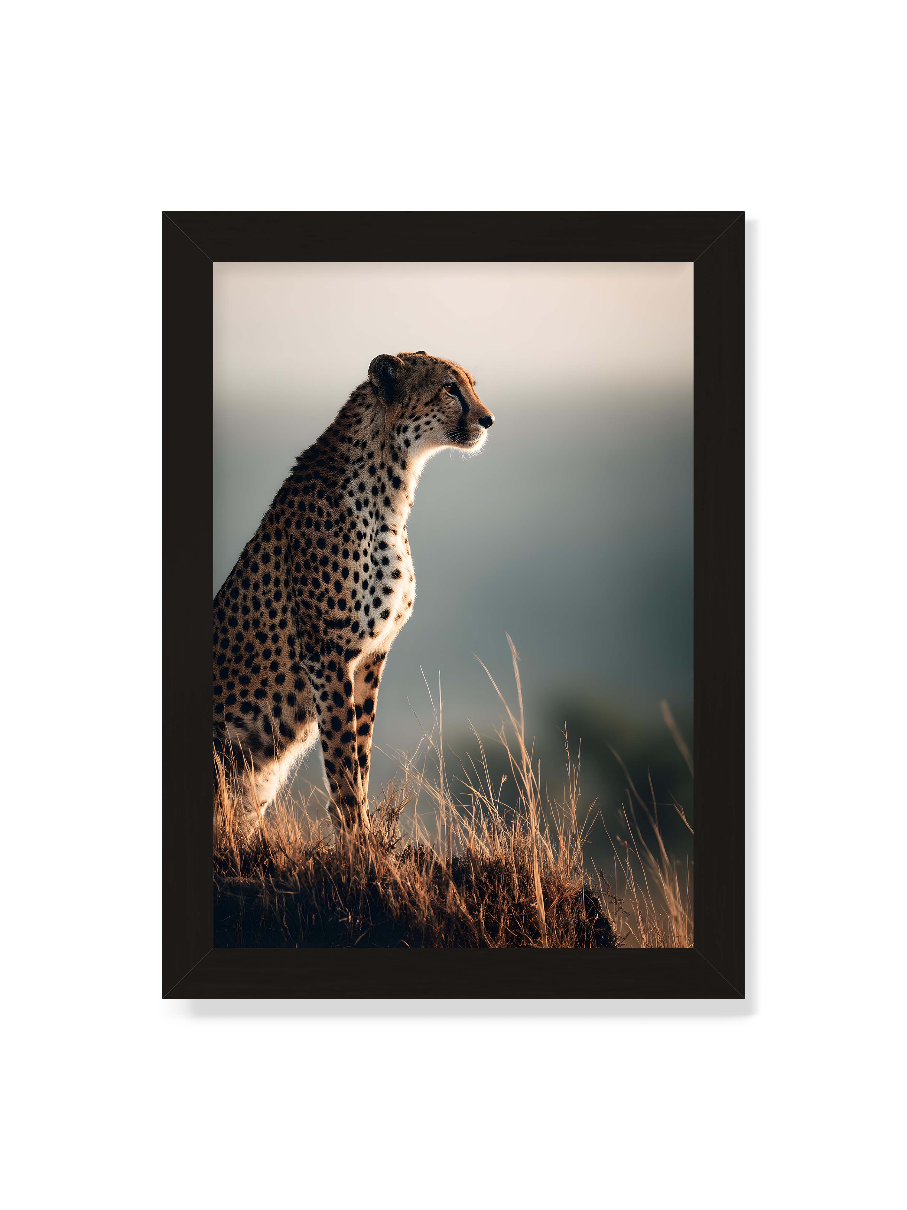 21x30 cm ohne Galerie-Rand mit schwarzem Rahmen – Gepard steht aufmerksam im hohen Gras, seitliches Profil mit geflecktem Fell vor ruhigem Hintergrund.