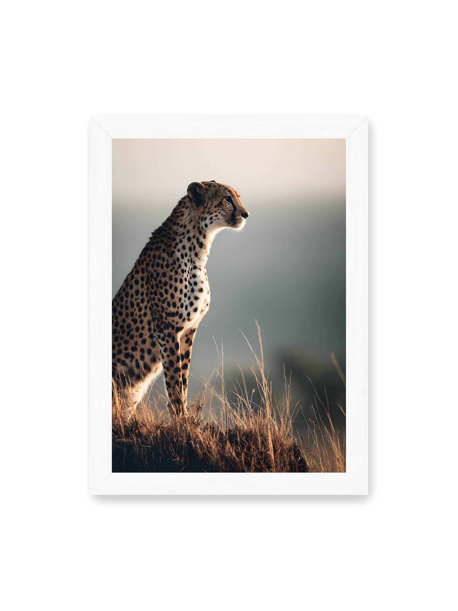 21x30 cm, weißer Rahmen – Gepard steht aufmerksam im hohen Gras, seitliches Profil mit geflecktem Fell vor ruhigem Hintergrund.