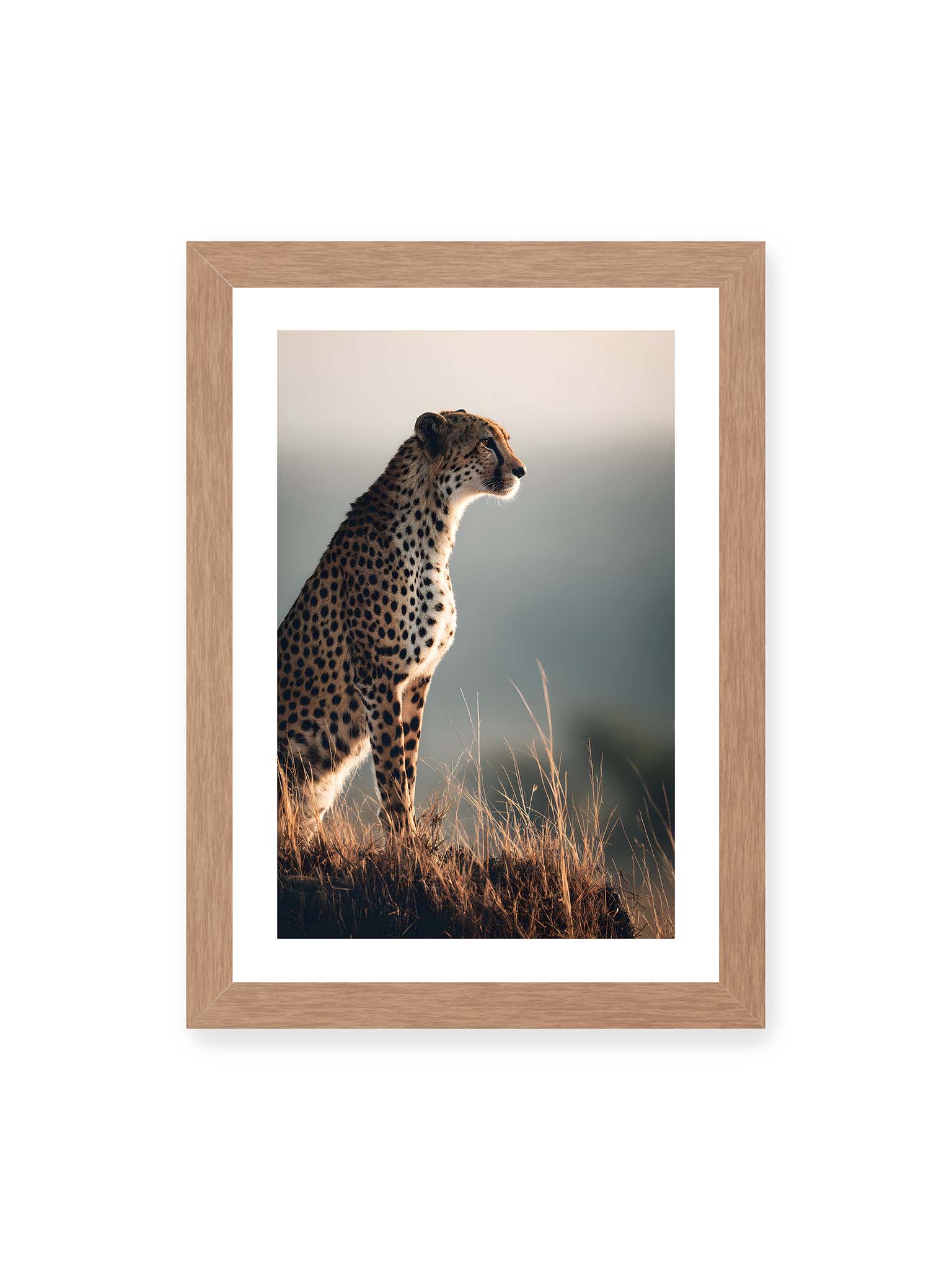 21x30 cm, weißer Galerie-Rand, Eichenrahmen – Gepard steht aufmerksam im hohen Gras, seitliches Profil mit geflecktem Fell vor ruhigem Hintergrund.