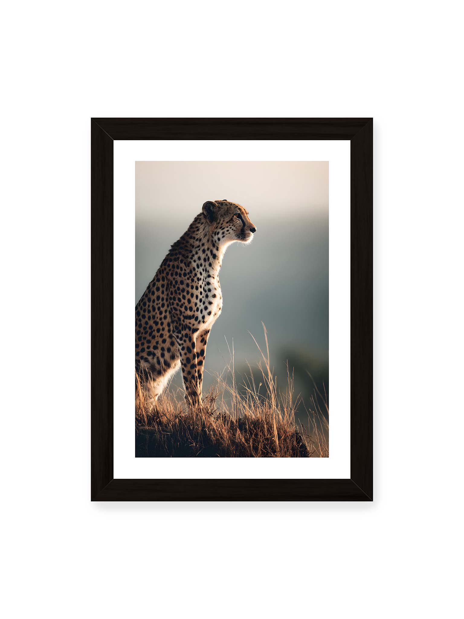 21x30 cm, weißer Galerie-Rand, schwarzer Rahmen – Gepard steht aufmerksam im hohen Gras, seitliches Profil mit geflecktem Fell vor ruhigem Hintergrund.