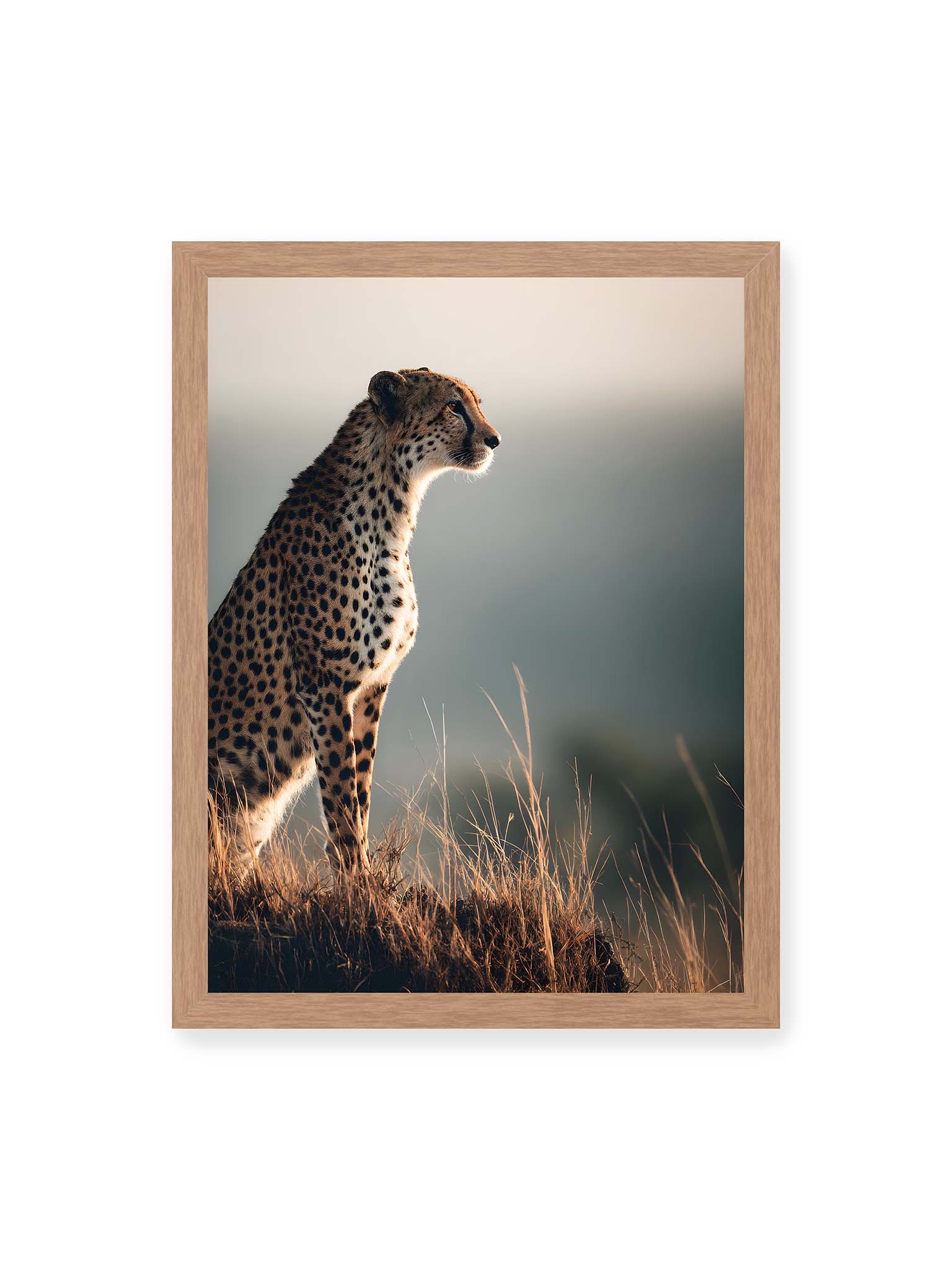 30x40 cm, Eichenrahmen – Gepard steht aufmerksam im hohen Gras, seitliches Profil mit geflecktem Fell vor ruhigem Hintergrund.