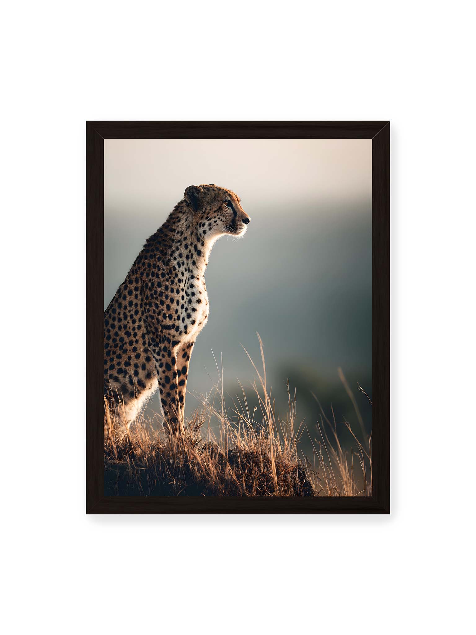 30x40 cm, schwarzer Rahmen – Gepard steht aufmerksam im hohen Gras, seitliches Profil mit geflecktem Fell vor ruhigem Hintergrund.