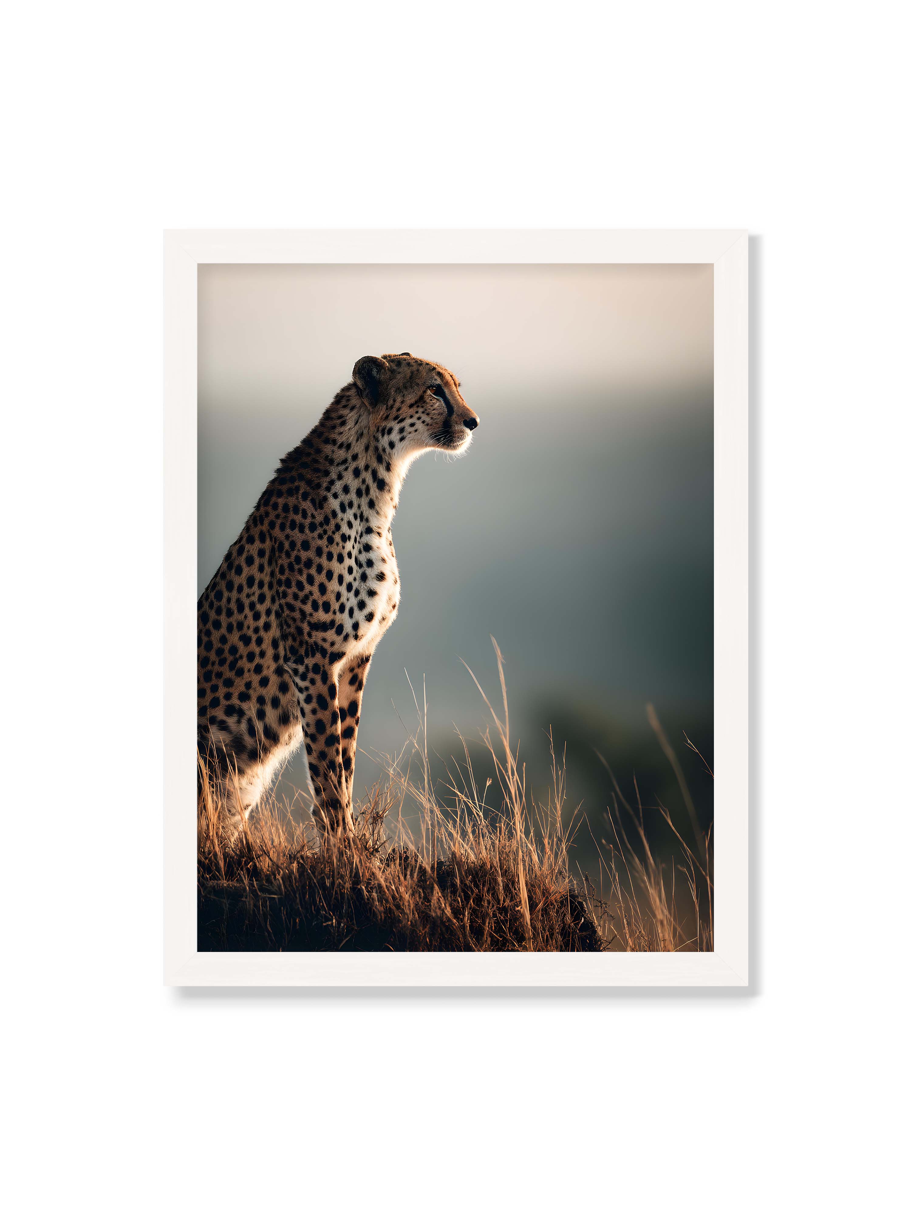 30x40 cm ohne Galerie-Rand mit weißem Rahmen – Gepard steht aufmerksam im hohen Gras, seitliches Profil mit geflecktem Fell vor ruhigem Hintergrund.
