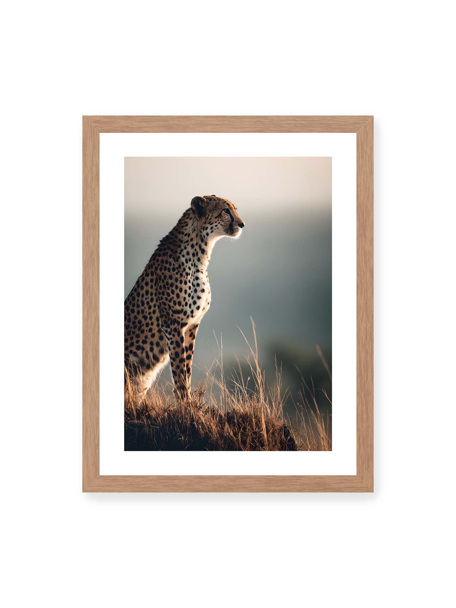 30x40 cm, weißer Galerie-Rand, Eichenrahmen – Gepard steht aufmerksam im hohen Gras, seitliches Profil mit geflecktem Fell vor ruhigem Hintergrund.