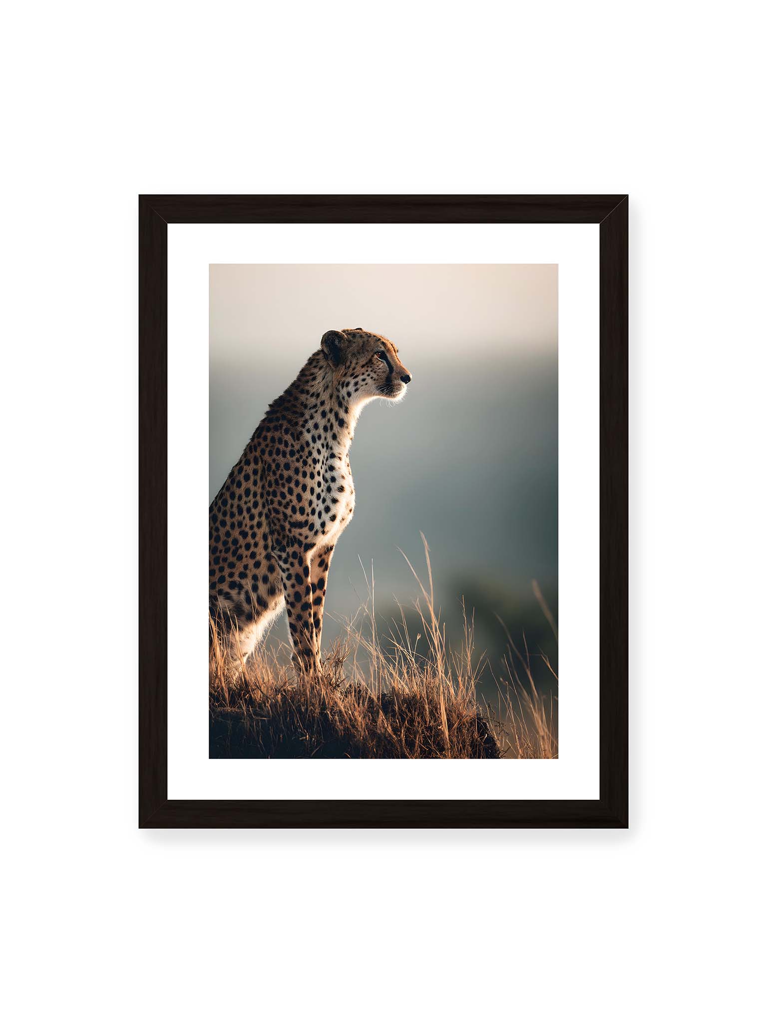 30x40 cm, weißer Galerie-Rand, schwarzer Rahmen – Gepard steht aufmerksam im hohen Gras, seitliches Profil mit geflecktem Fell vor ruhigem Hintergrund.