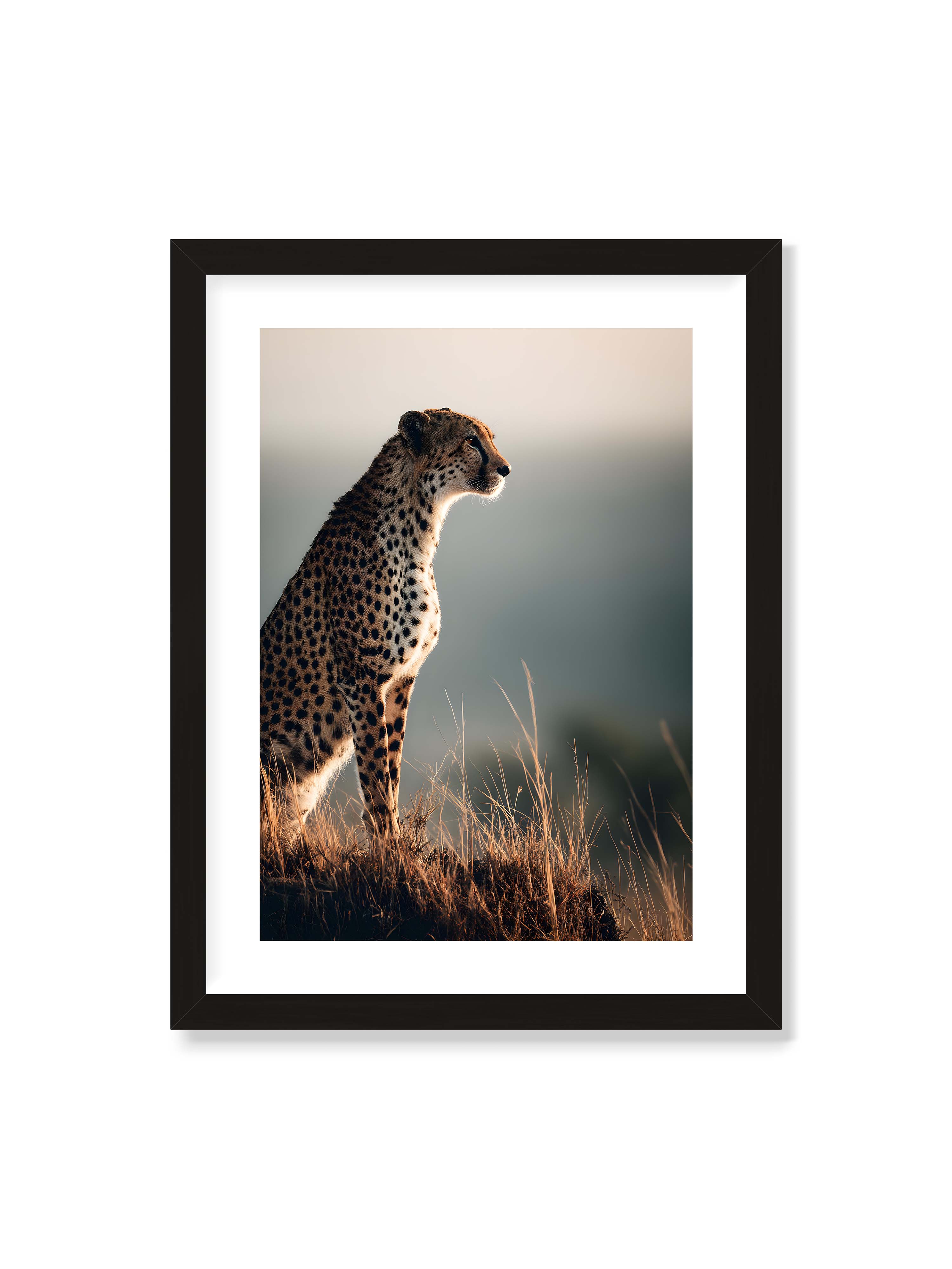 30x40 cm mit weißem Galerie-Rand mit schwarzem Rahmen – Gepard steht aufmerksam im hohen Gras, seitliches Profil mit geflecktem Fell vor ruhigem Hintergrund.