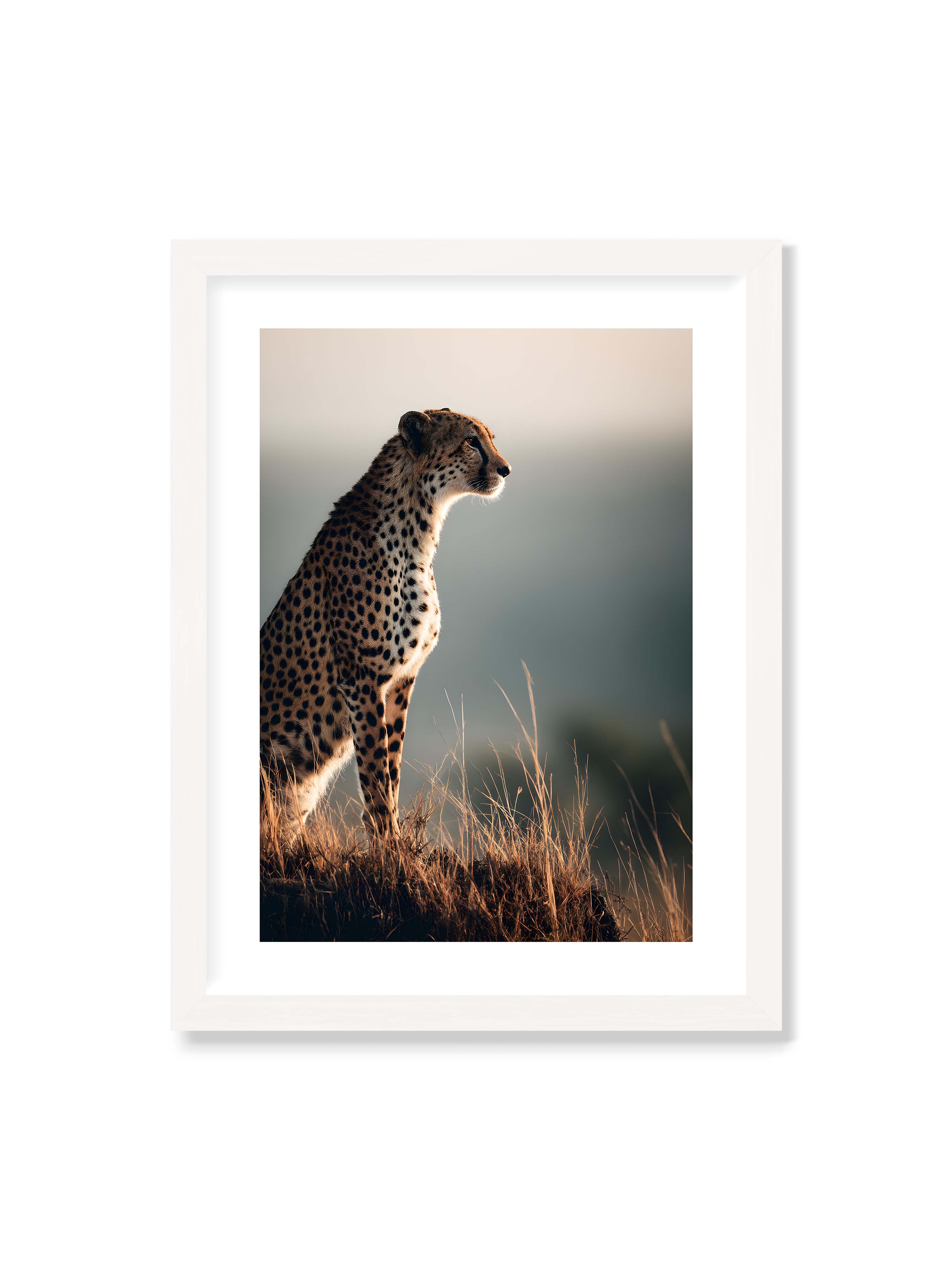 30x40 cm mit weißem Galerie-Rand mit weißem Rahmen – Gepard steht aufmerksam im hohen Gras, seitliches Profil mit geflecktem Fell vor ruhigem Hintergrund.