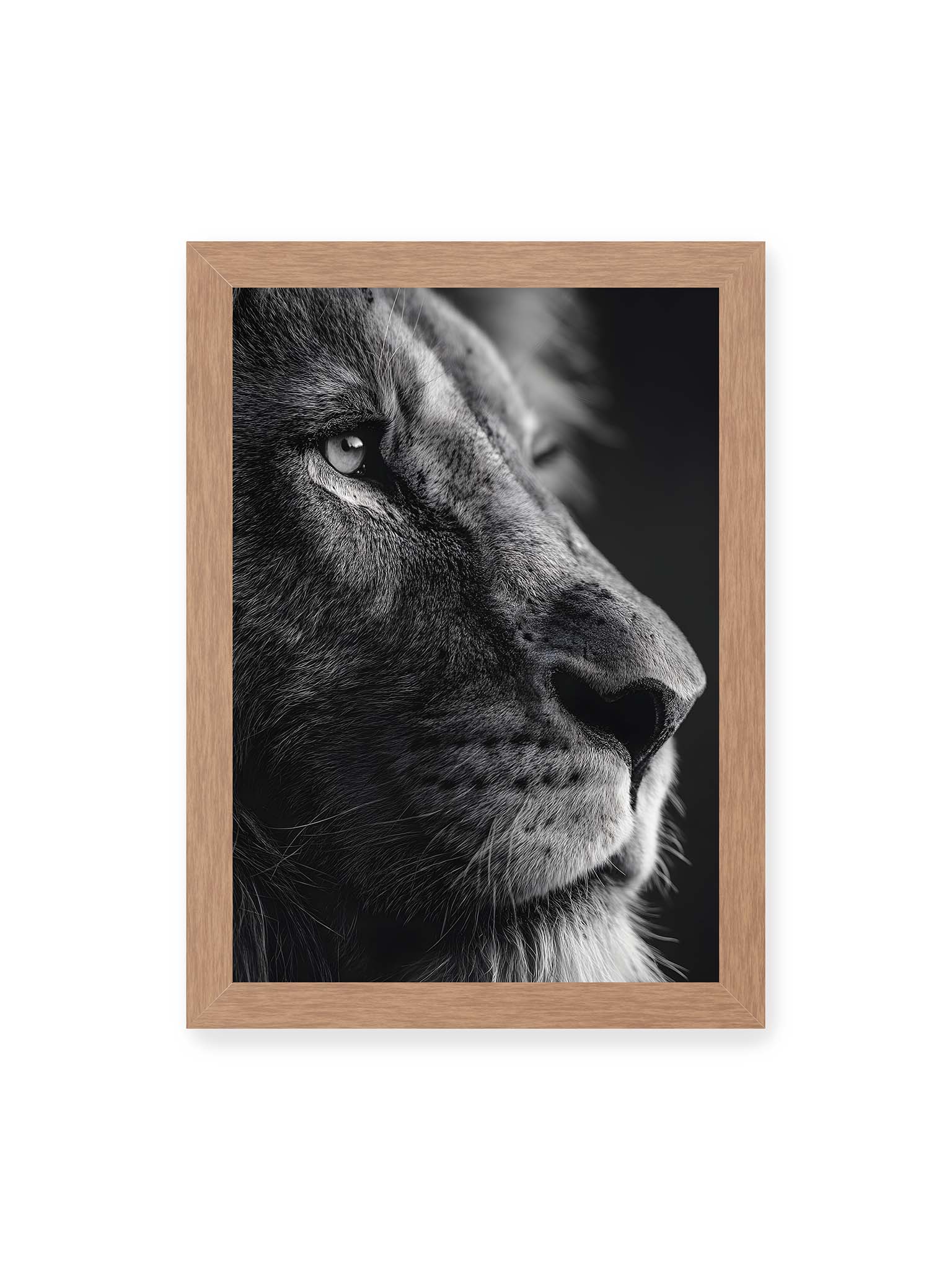 21x30 cm, Eichenrahmen – Schwarzweißes Profil eines Löwen mit ruhigem Blick und starkem Licht-Schatten-Kontrast.