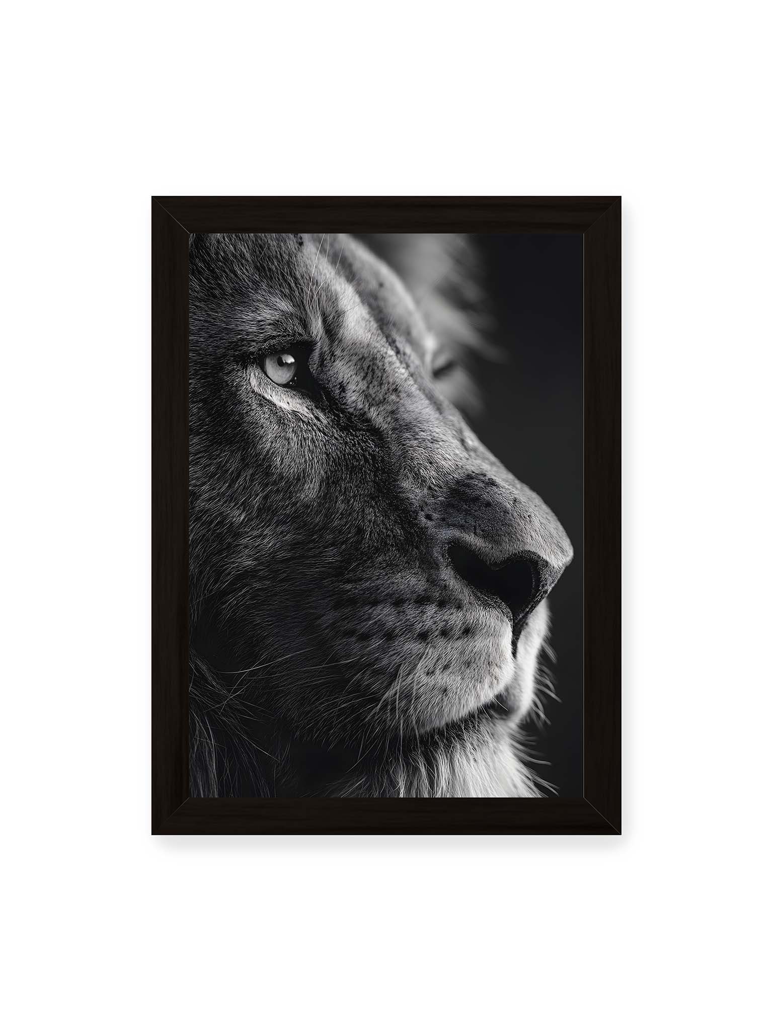 21x30 cm, schwarzer Rahmen – Schwarzweißes Profil eines Löwen mit ruhigem Blick und starkem Licht-Schatten-Kontrast.