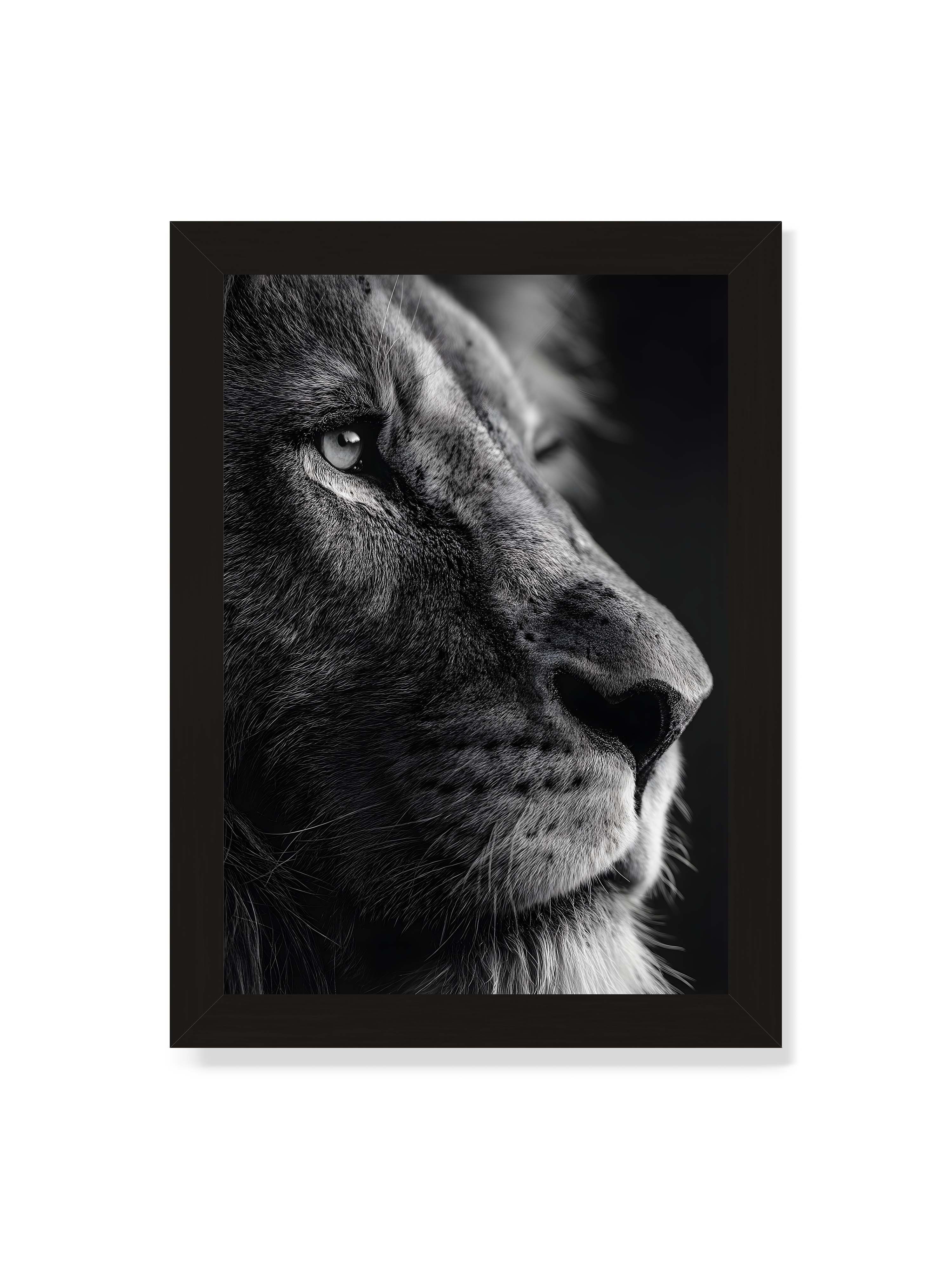 21x30 cm ohne Galerie-Rand mit schwarzem Rahmen – Schwarzweißes Profil eines Löwenkopfes mit ruhigem Blick und starkem Licht-Schatten-Kontrast.