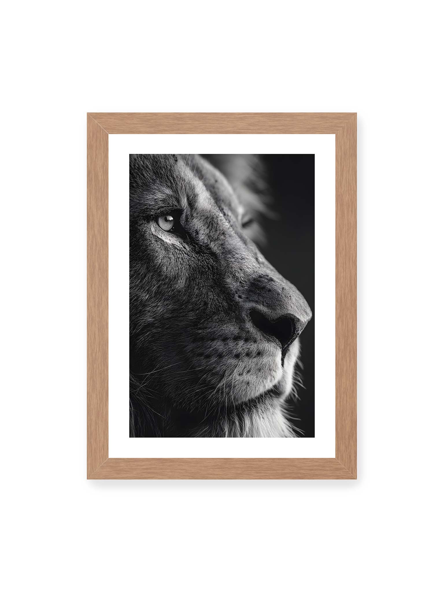 21x30 cm, weißer Galerie-Rand, Eichenrahmen – Schwarzweißes Profil eines Löwen mit ruhigem Blick und starkem Licht-Schatten-Kontrast.
