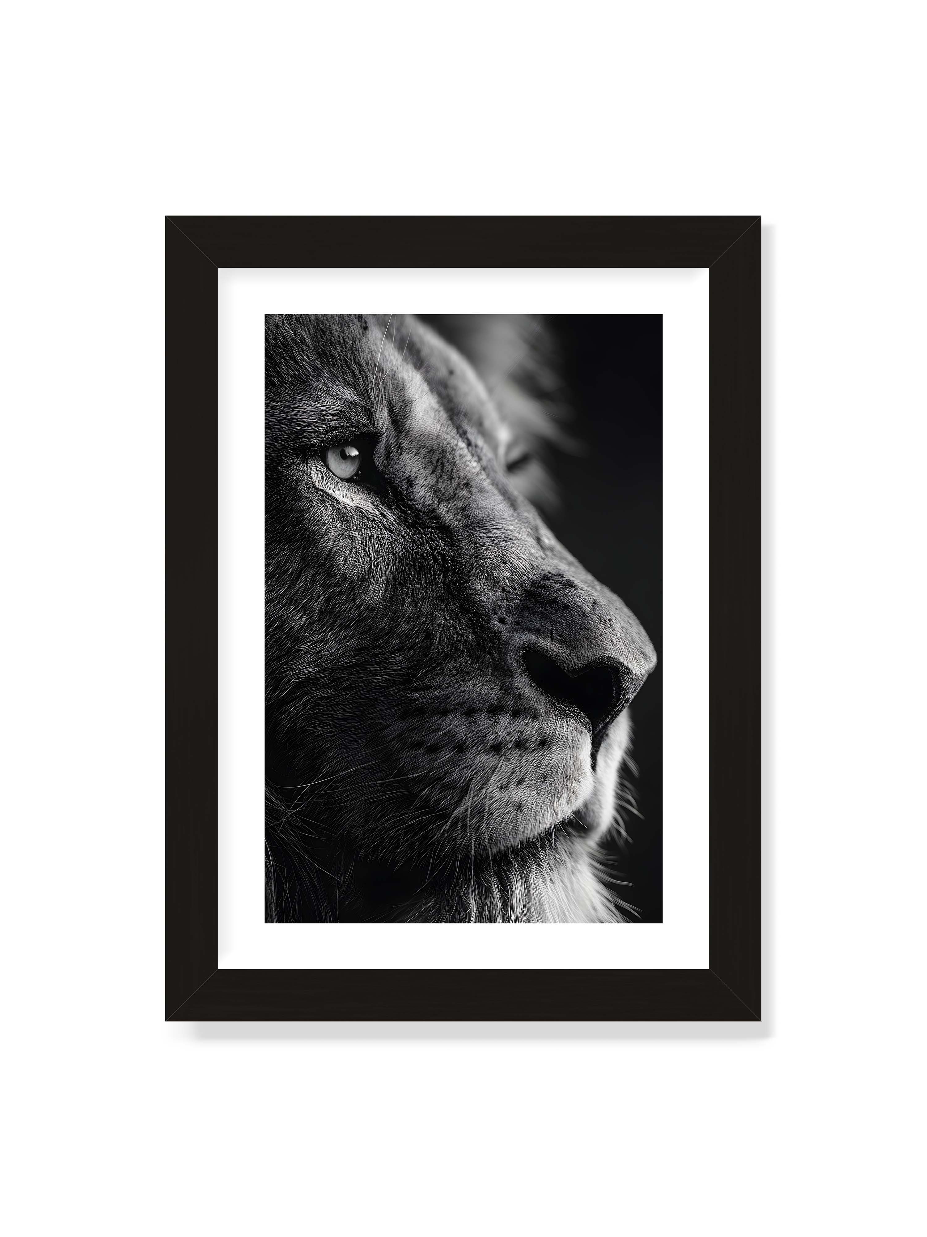 21x30 cm mit weißem Galerie-Rand mit schwarzem Rahmen – Schwarzweißes Profil eines Löwenkopfes mit ruhigem Blick und starkem Licht-Schatten-Kontrast.