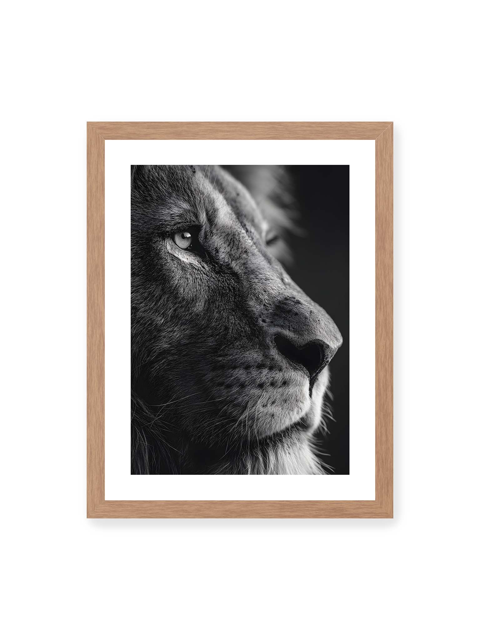 30x40 cm, weißer Galerie-Rand, Eichenrahmen – Schwarzweißes Profil eines Löwen mit ruhigem Blick und starkem Licht-Schatten-Kontrast.