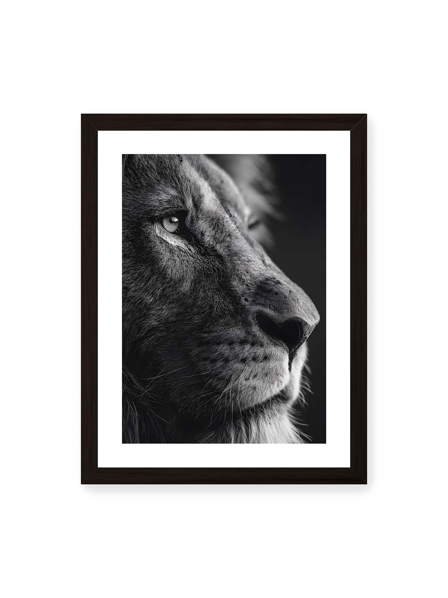 30x40 cm, weißer Galerie-Rand, schwarzer Rahmen – Schwarzweißes Profil eines Löwen mit ruhigem Blick und starkem Licht-Schatten-Kontrast.