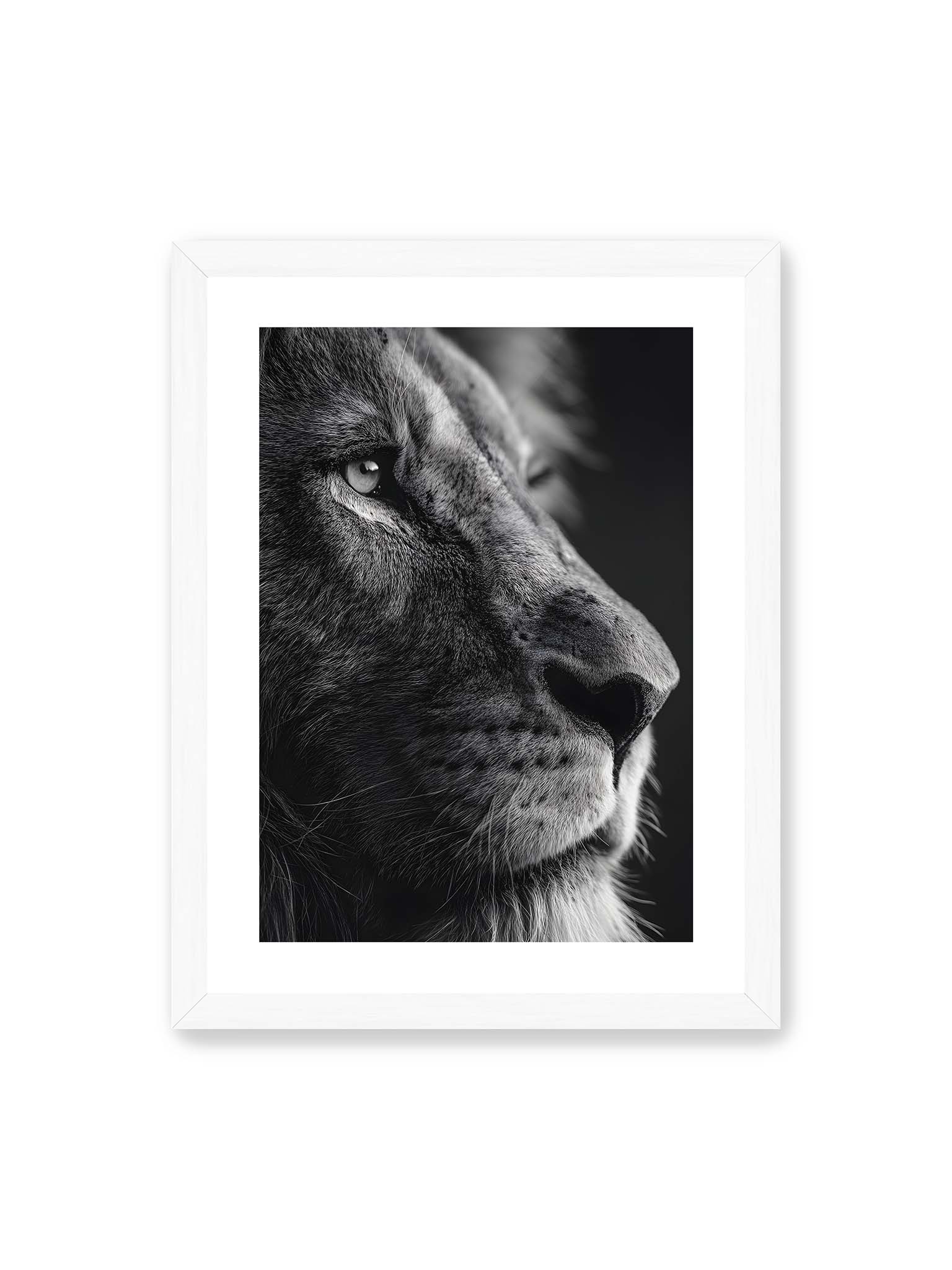 30x40 cm, weißer Galerie-Rand, weißer Rahmen – Schwarzweißes Profil eines Löwen mit ruhigem Blick und starkem Licht-Schatten-Kontrast.