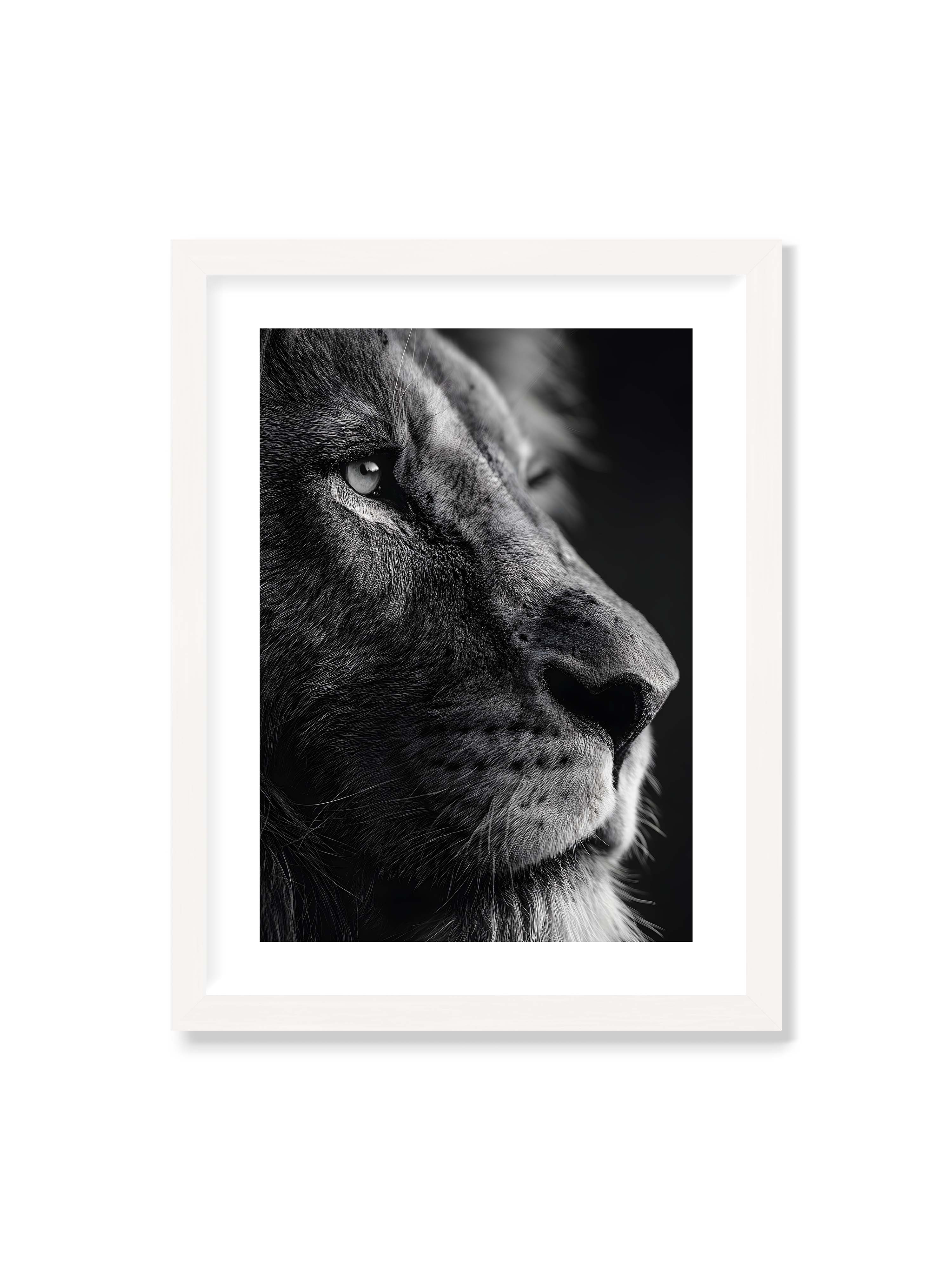 30x40 cm mit weißem Galerie-Rand mit weißem Rahmen – Schwarzweißes Profil eines Löwenkopfes mit ruhigem Blick und starkem Licht-Schatten-Kontrast.