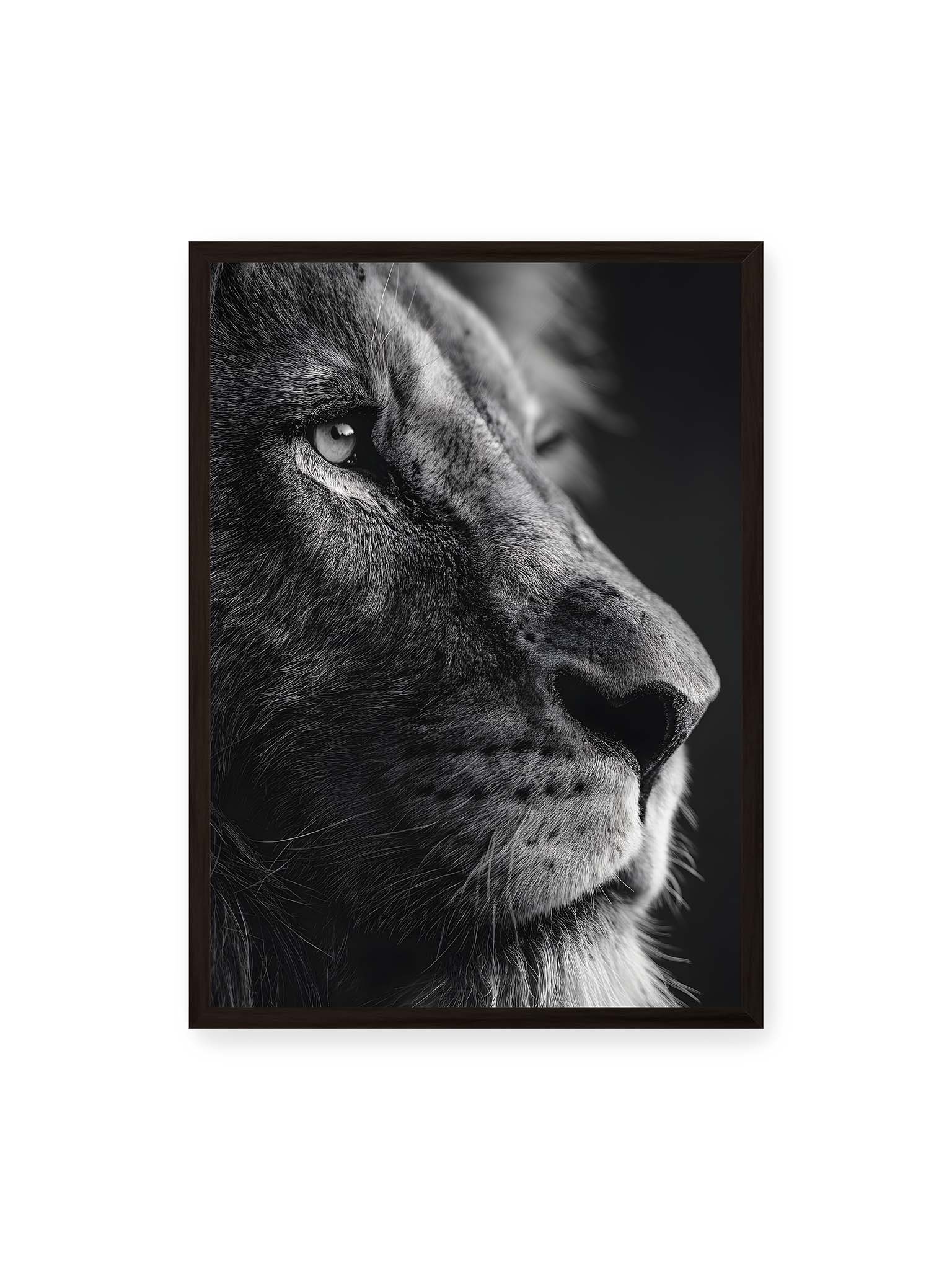 50x70 cm, schwarzer Rahmen – Schwarzweißes Profil eines Löwen mit ruhigem Blick und starkem Licht-Schatten-Kontrast.