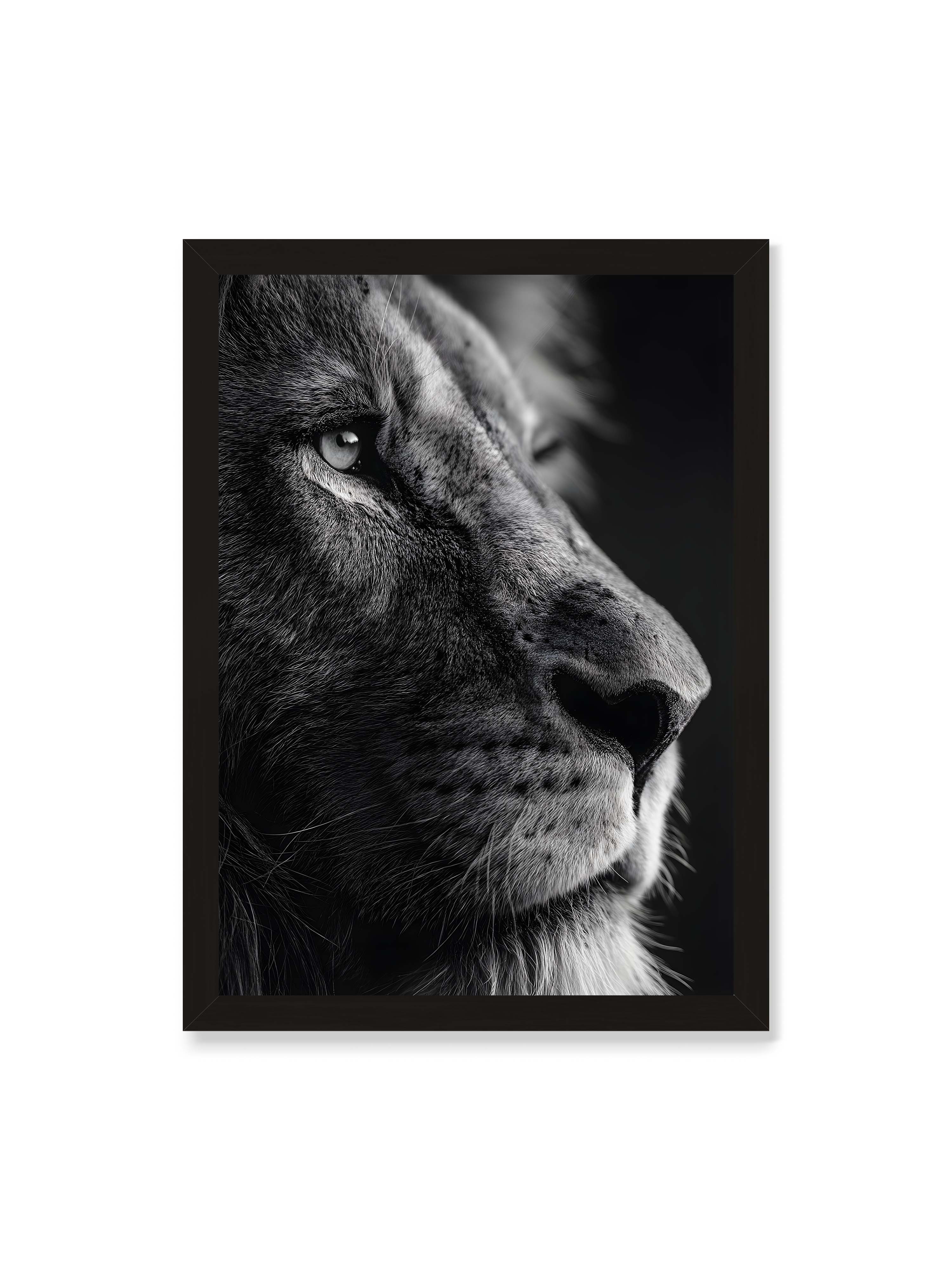 50x70 cm ohne Galerie-Rand mit schwarzem Rahmen – Schwarzweißes Profil eines Löwenkopfes mit ruhigem Blick und starkem Licht-Schatten-Kontrast.
