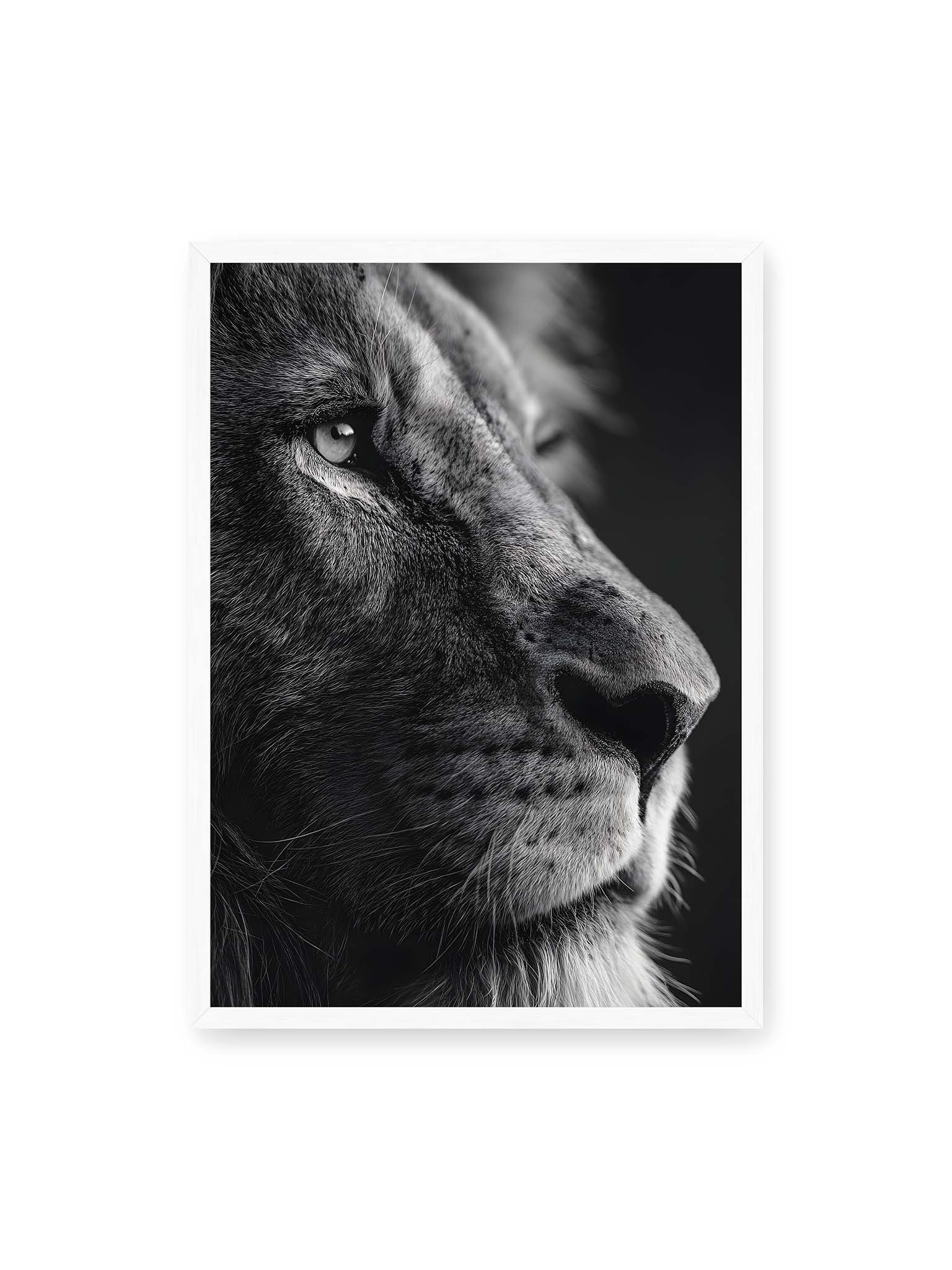 50x70 cm, weißer Rahmen – Schwarzweißes Profil eines Löwen mit ruhigem Blick und starkem Licht-Schatten-Kontrast.