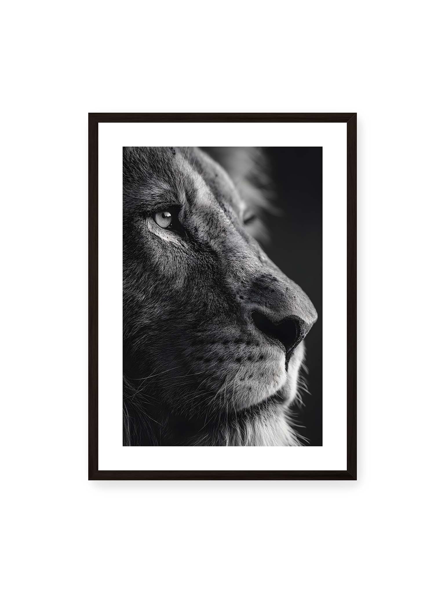 50x70 cm, weißer Galerie-Rand, schwarzer Rahmen – Schwarzweißes Profil eines Löwen mit ruhigem Blick und starkem Licht-Schatten-Kontrast.