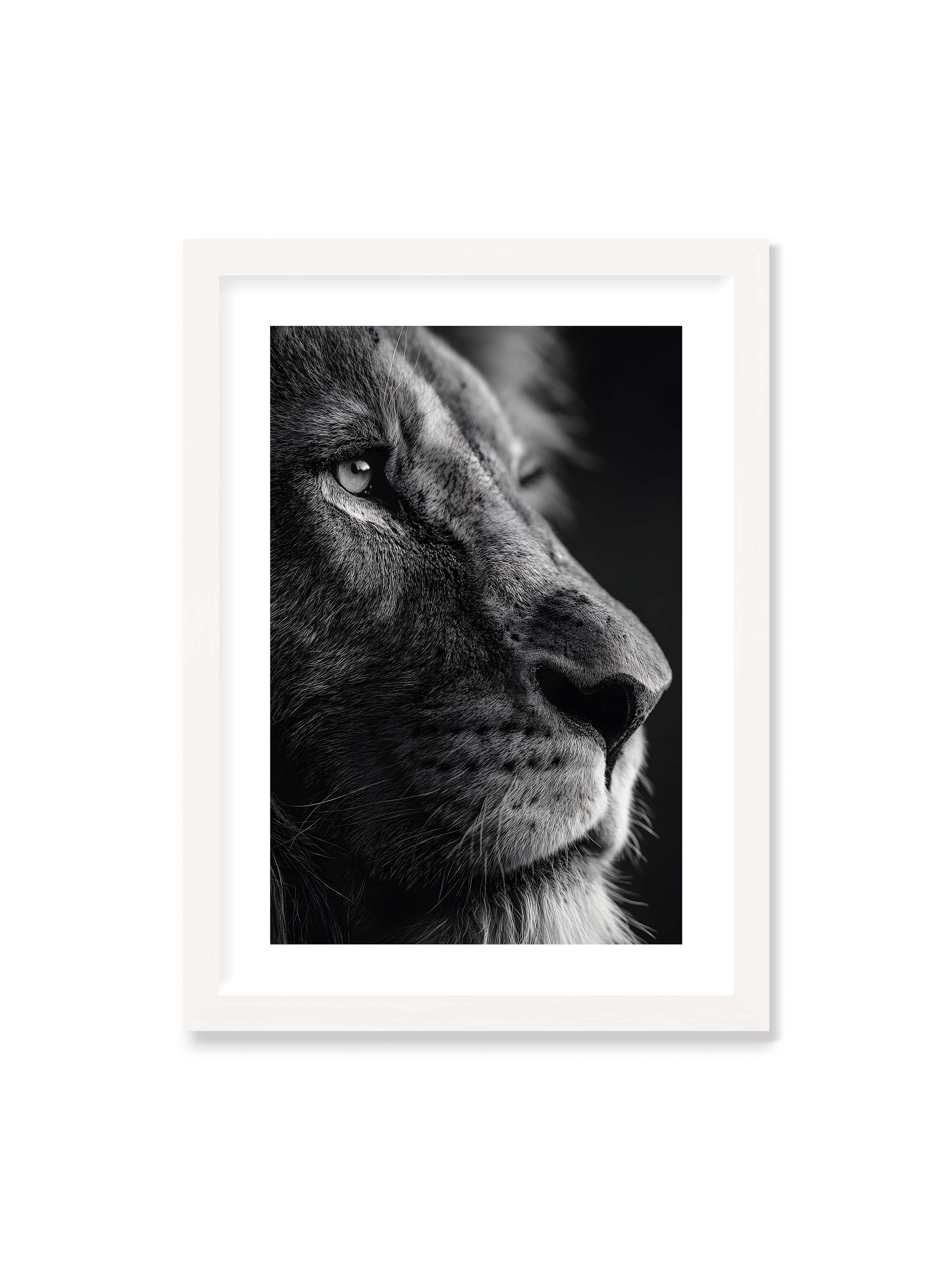 50x70 cm mit weißem Galerie-Rand mit weißem Rahmen – Schwarzweißes Profil eines Löwenkopfes mit ruhigem Blick und starkem Licht-Schatten-Kontrast.