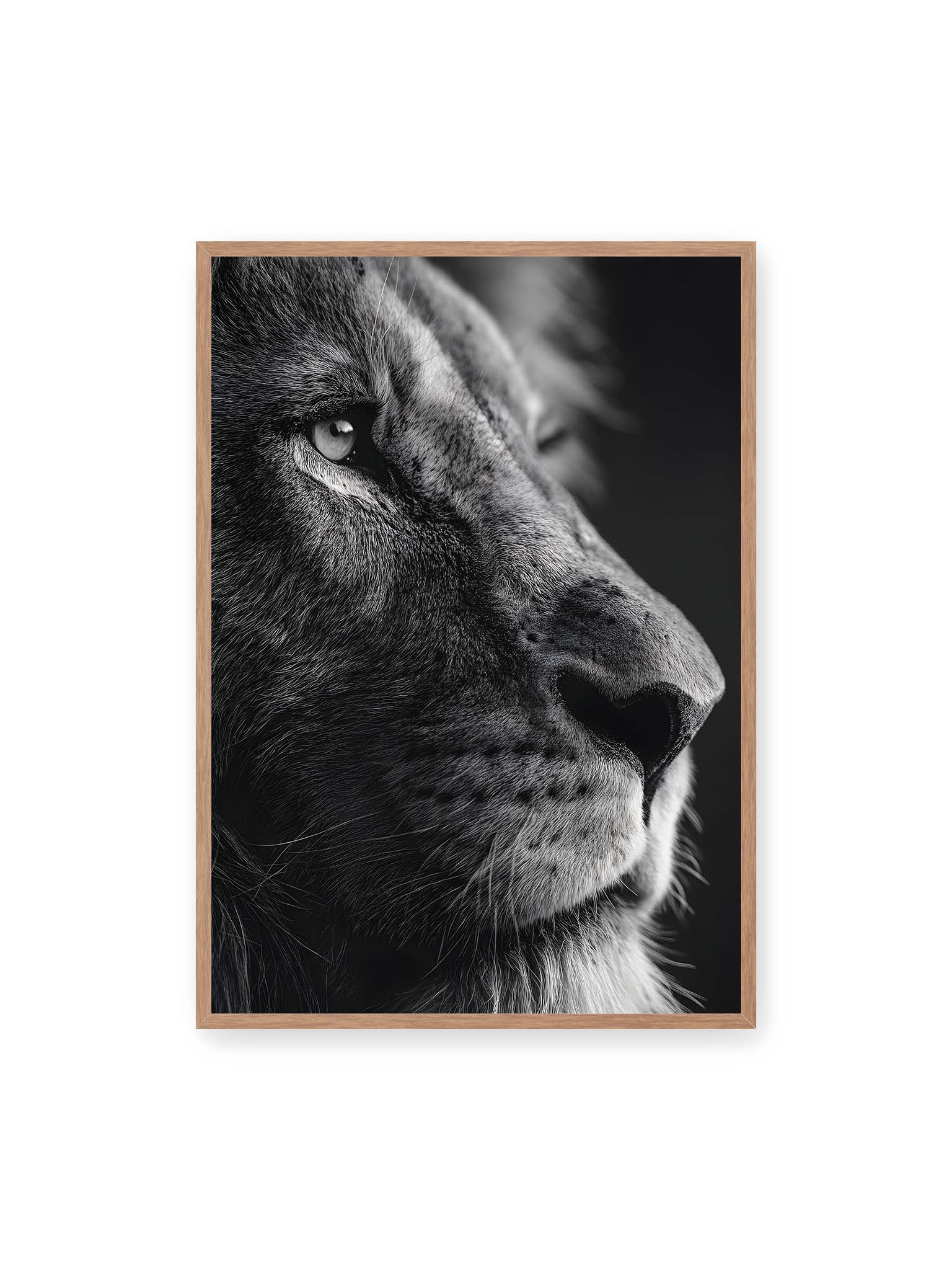 70x100 cm, Eichenrahmen – Schwarzweißes Profil eines Löwen mit ruhigem Blick und starkem Licht-Schatten-Kontrast.
