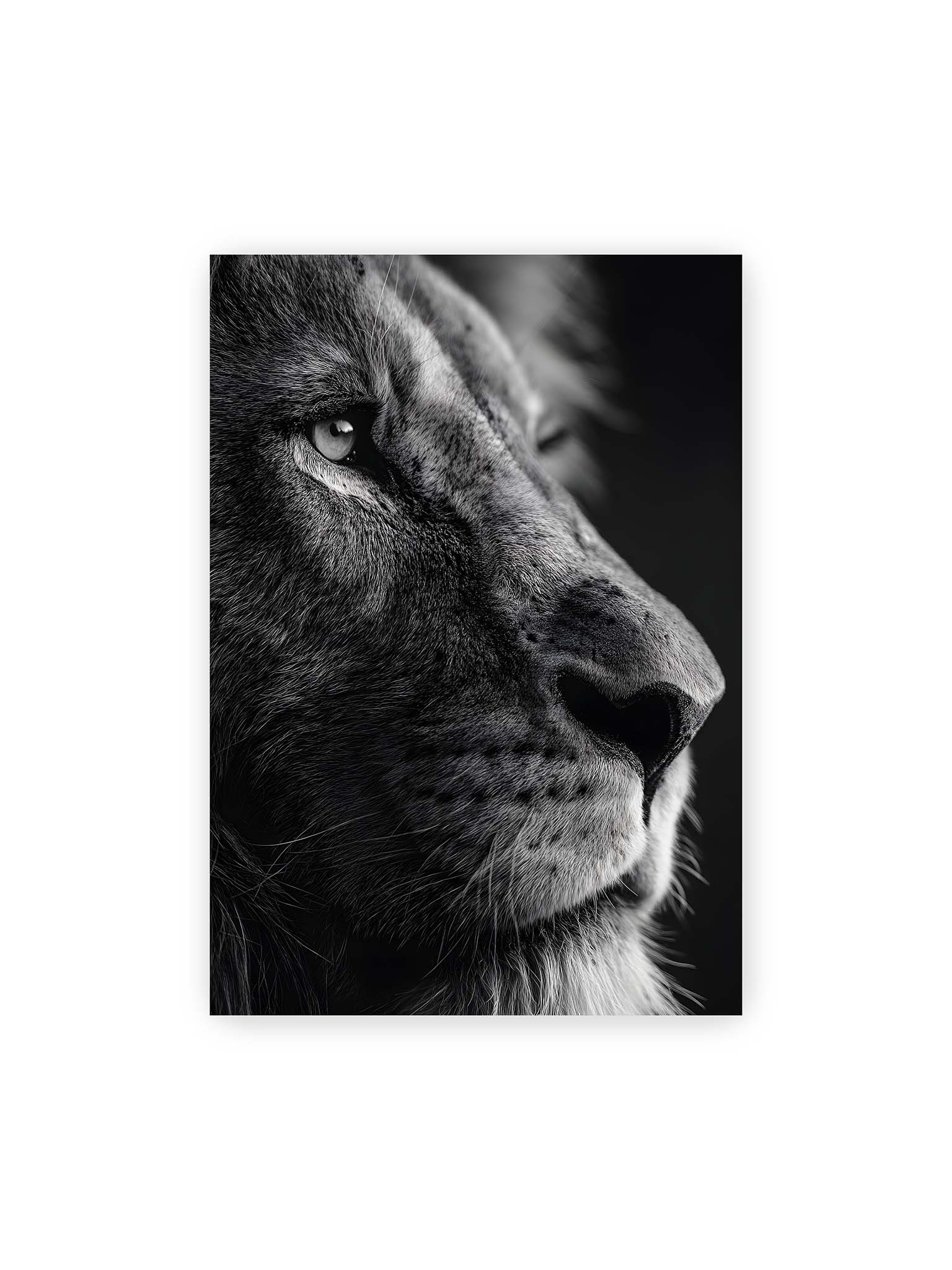 70x100 cm – Schwarzweißes Profil eines Löwen mit ruhigem Blick und starkem Licht-Schatten-Kontrast.
