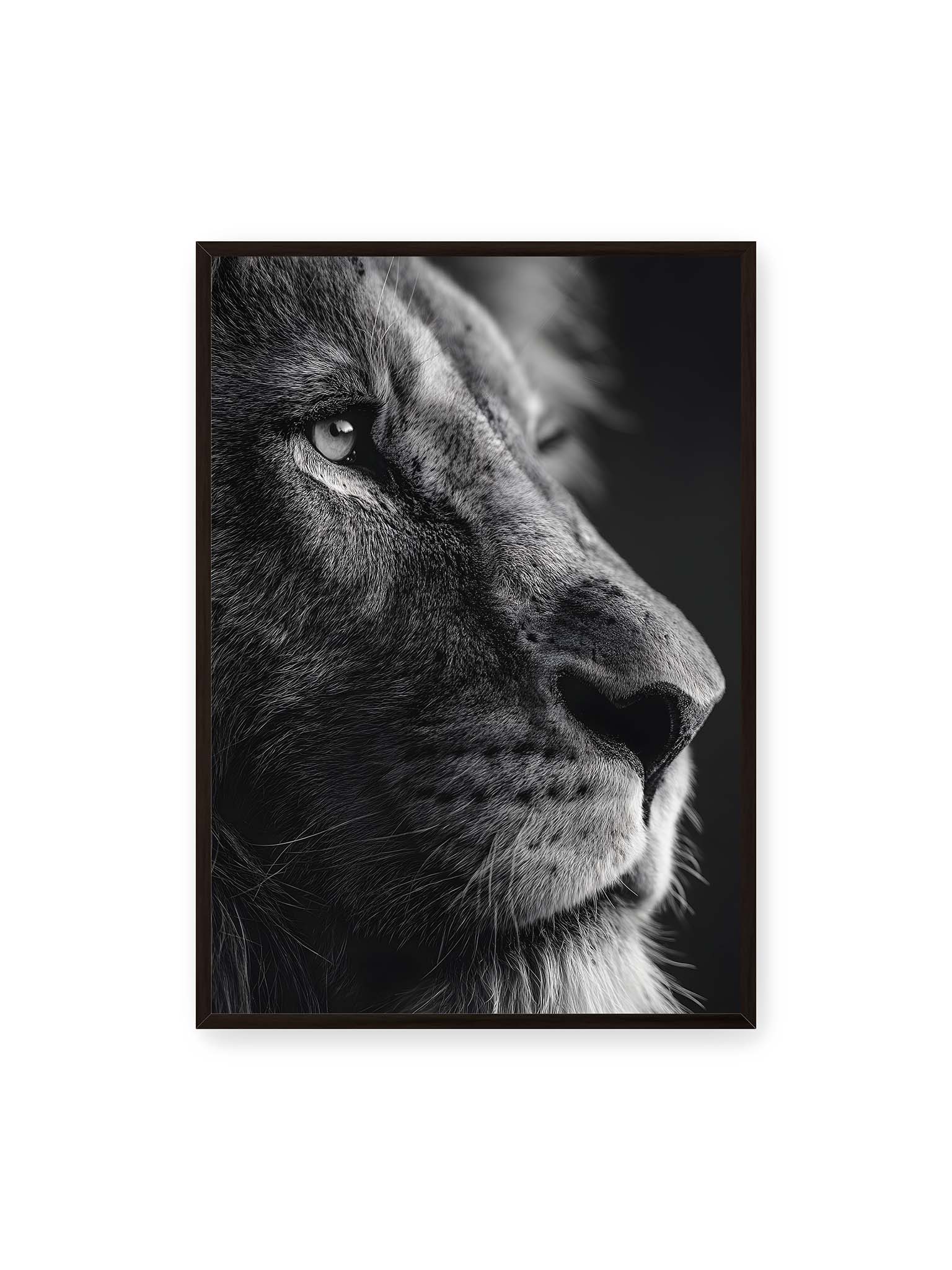 70x100 cm, schwarzer Rahmen – Schwarzweißes Profil eines Löwen mit ruhigem Blick und starkem Licht-Schatten-Kontrast.