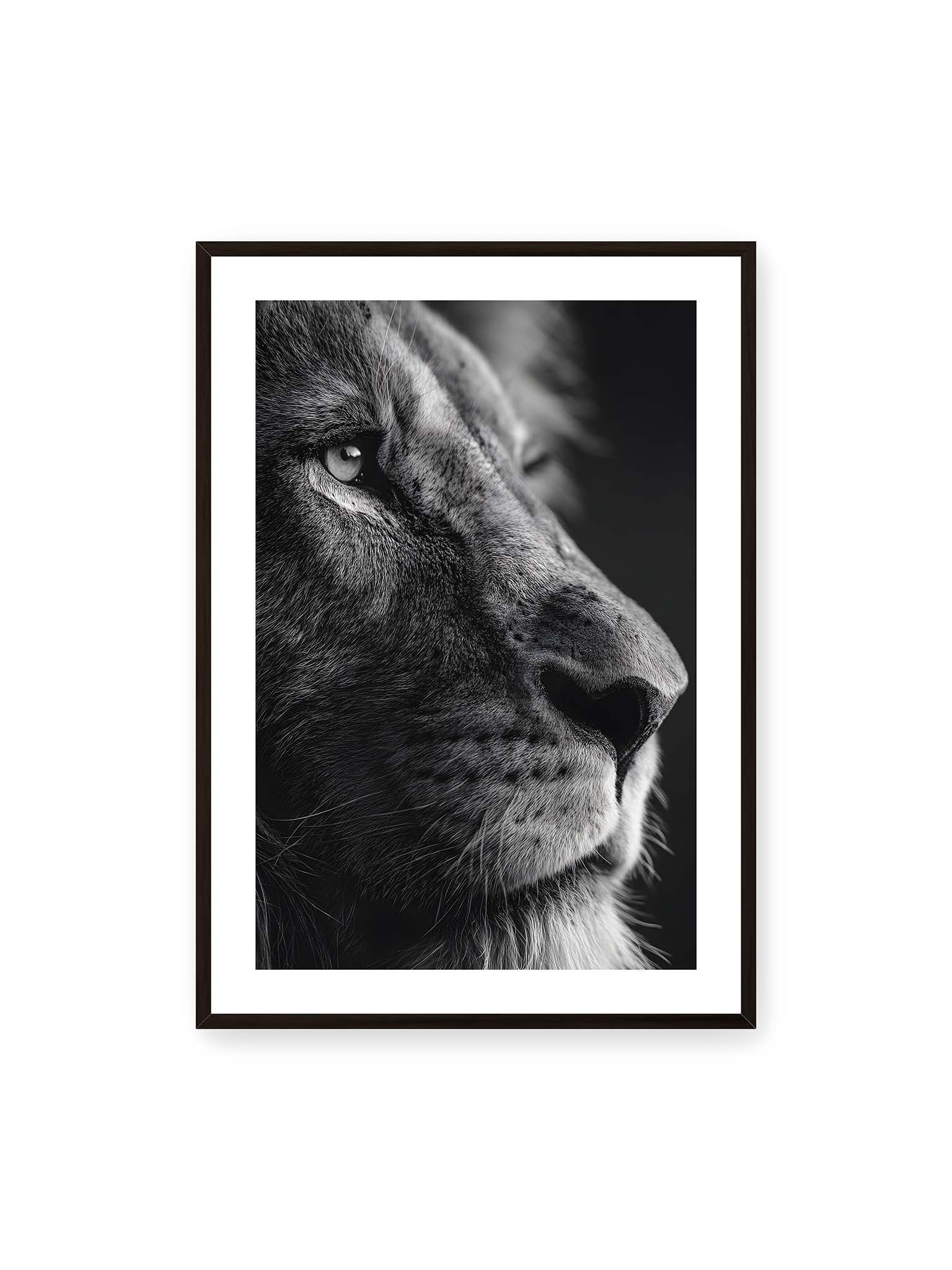 70x100 cm, weißer Galerie-Rand, schwarzer Rahmen – Schwarzweißes Profil eines Löwen mit ruhigem Blick und starkem Licht-Schatten-Kontrast.