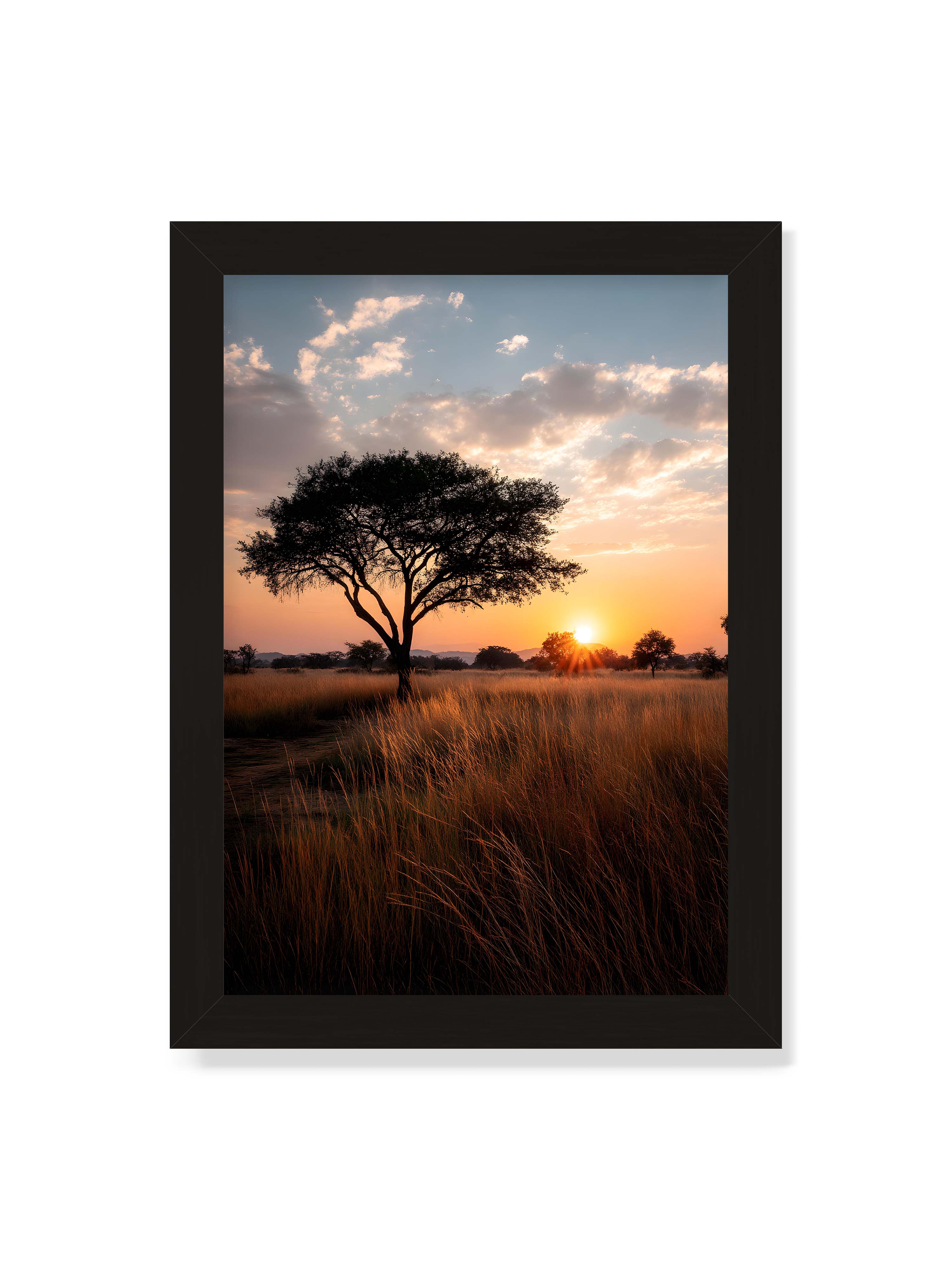 21x30 cm ohne Galerie-Rand mit schwarzem Rahmen – Akazienbaum in weiter Savannenlandschaft bei goldenem Sonnenuntergang mit hohem Gras und ruhigem Himmel.