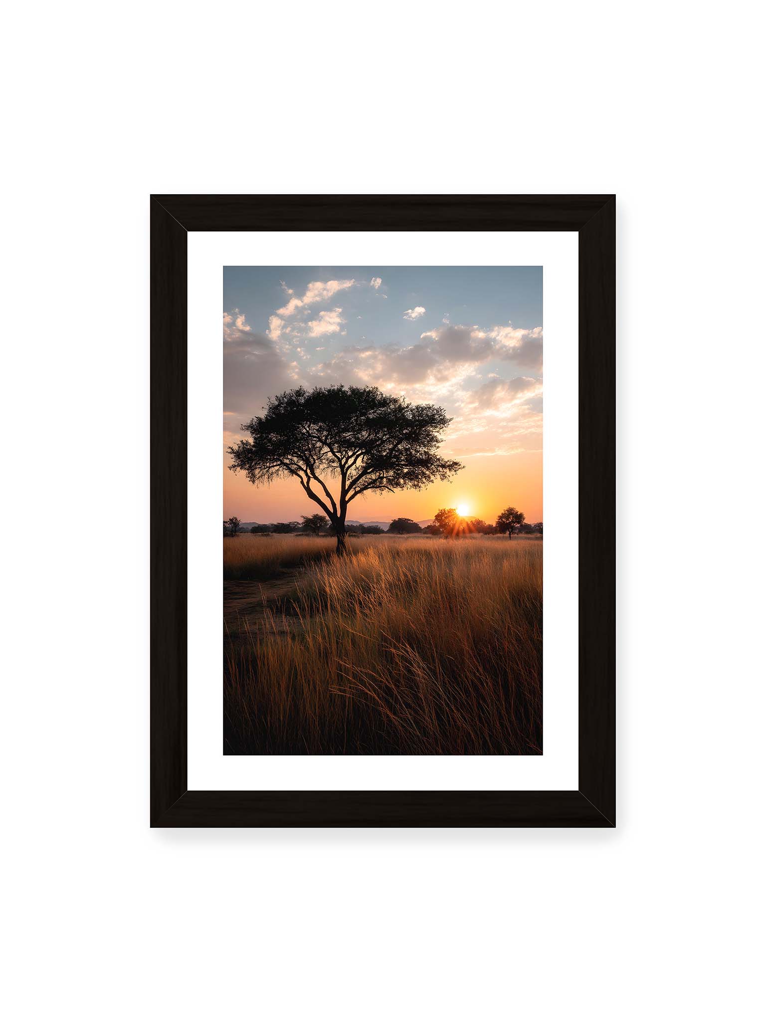 21x30 cm, weißer Galerie-Rand, schwarzer Rahmen – Akazienbaum in weiter Savannenlandschaft bei goldenem Sonnenuntergang mit hohem Gras und ruhigem Himmel.