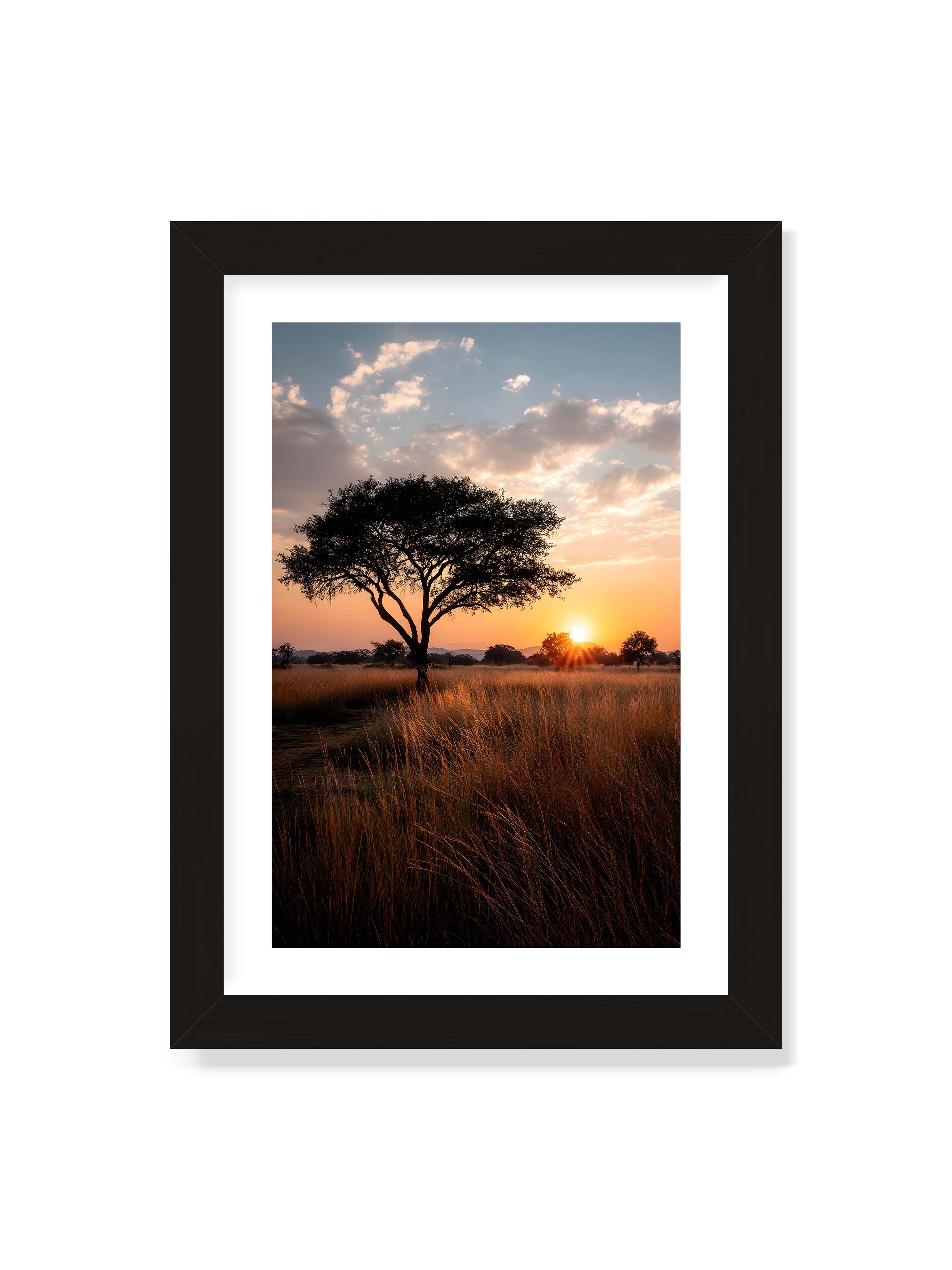 21x30 cm mit weißem Galerie-Rand mit schwarzem Rahmen – Akazienbaum in weiter Savannenlandschaft bei goldenem Sonnenuntergang mit hohem Gras und ruhigem Himmel.
