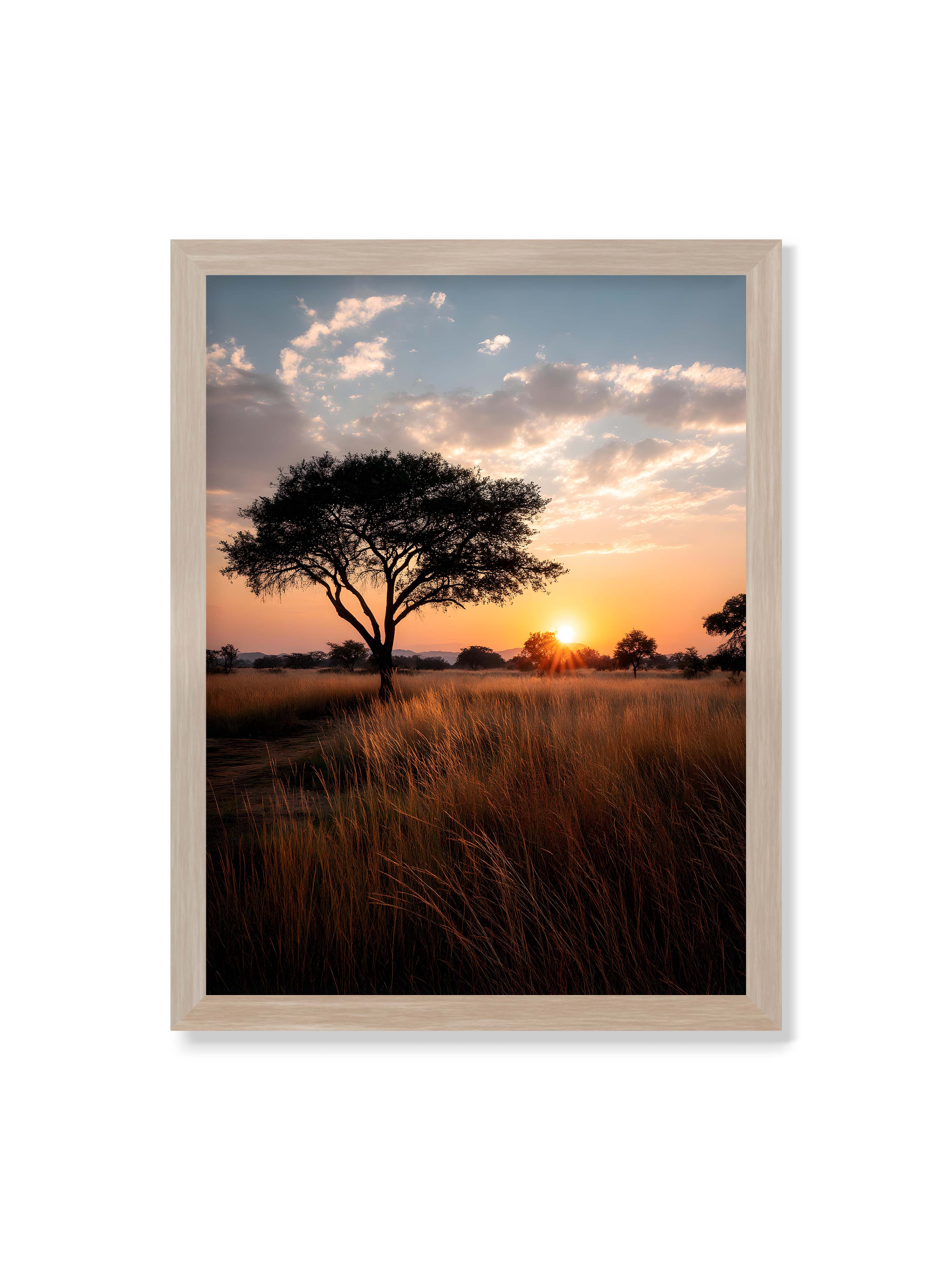 30x40 cm ohne Galerie-Rand im Eichenrahmen – Akazienbaum in weiter Savannenlandschaft bei goldenem Sonnenuntergang mit hohem Gras und ruhigem Himmel.