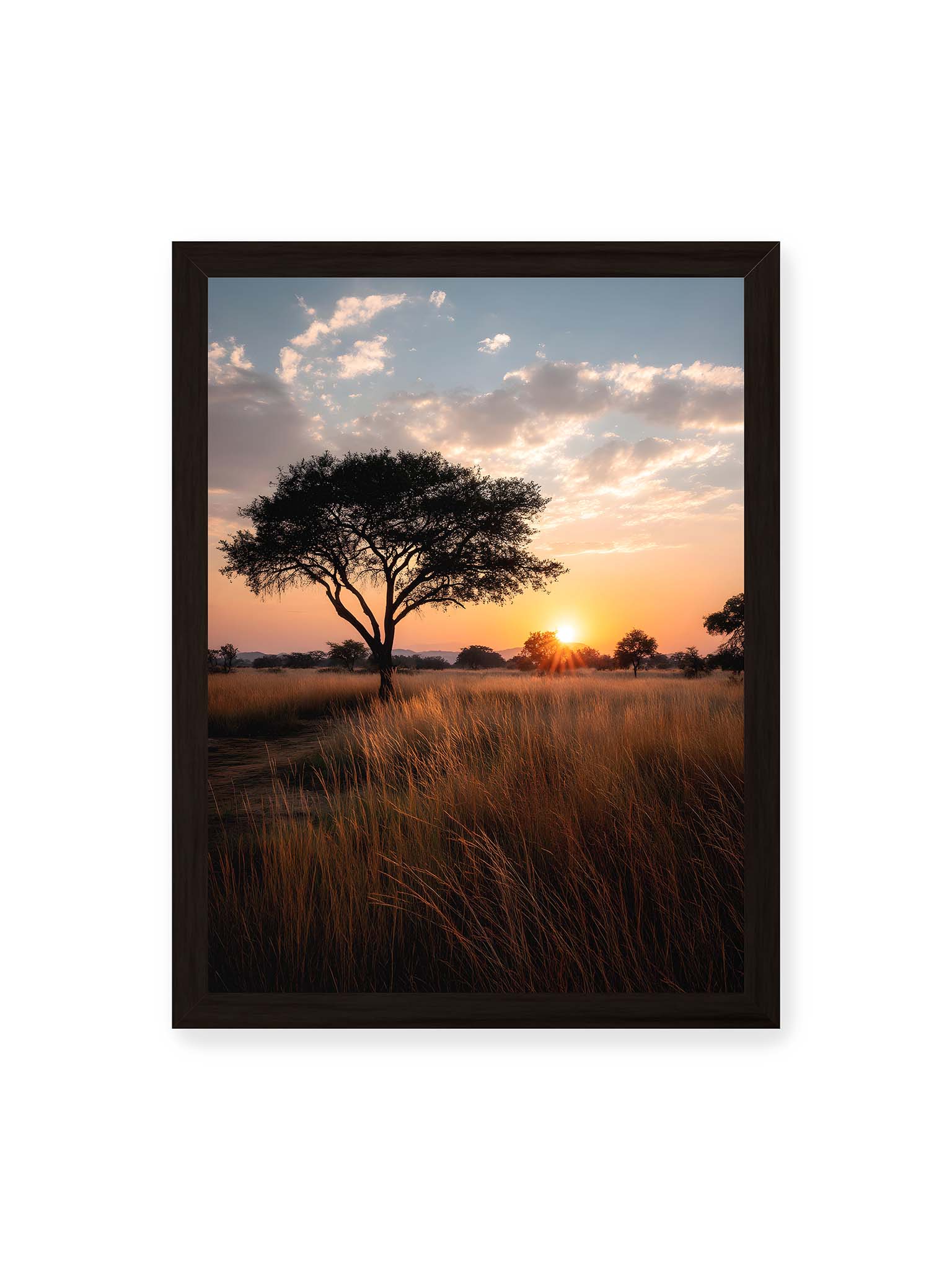 30x40 cm, schwarzer Rahmen – Akazienbaum in weiter Savannenlandschaft bei goldenem Sonnenuntergang mit hohem Gras und ruhigem Himmel.