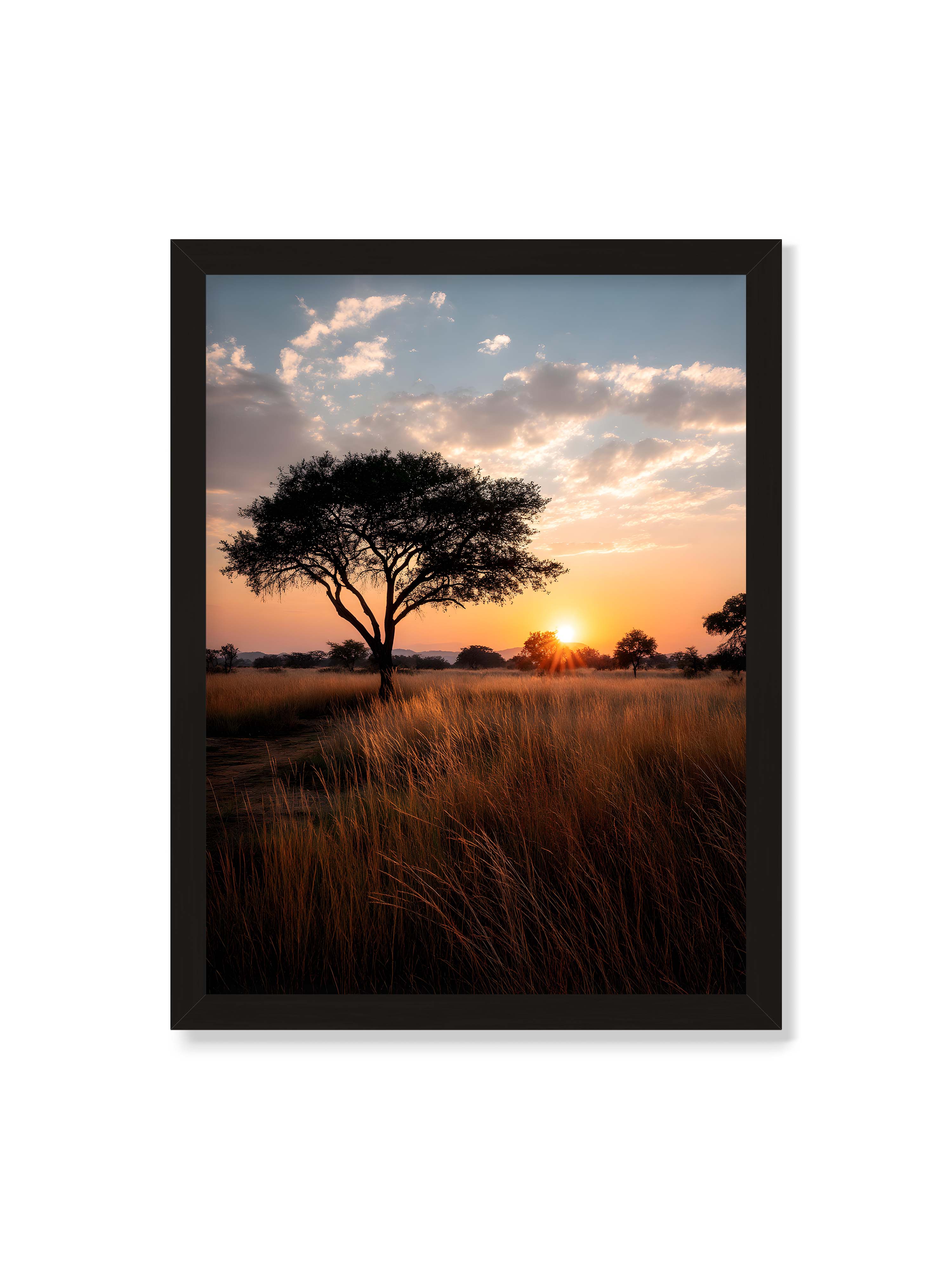 30x40 cm ohne Galerie-Rand mit schwarzem Rahmen – Akazienbaum in weiter Savannenlandschaft bei goldenem Sonnenuntergang mit hohem Gras und ruhigem Himmel.